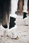 Kentucky Horsewear Turnout AIR ochraniacze przednie