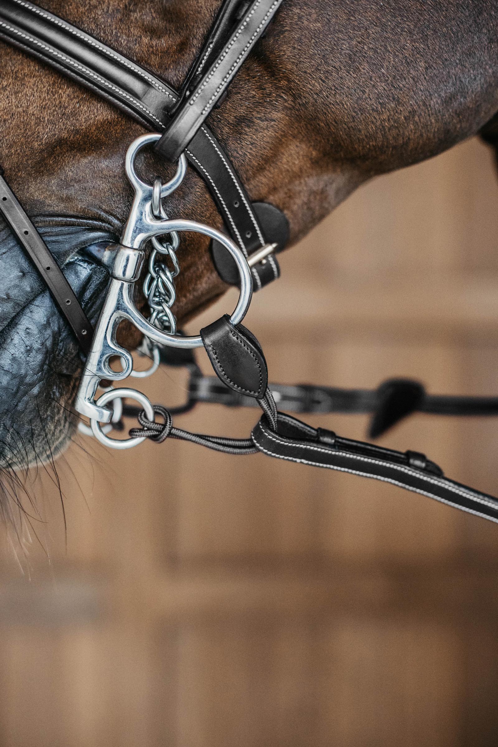 Dy'on długie paski pelham  