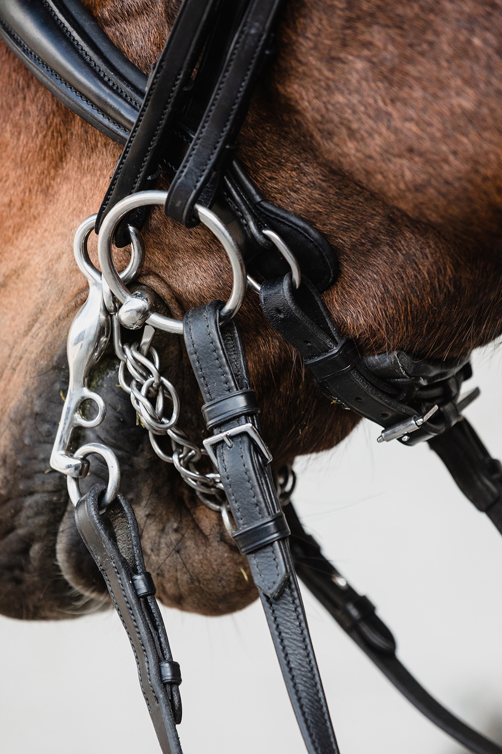 Schockem&ouml;hle Sports Milton Anatomiczne ogłowie podw&oacute;jne