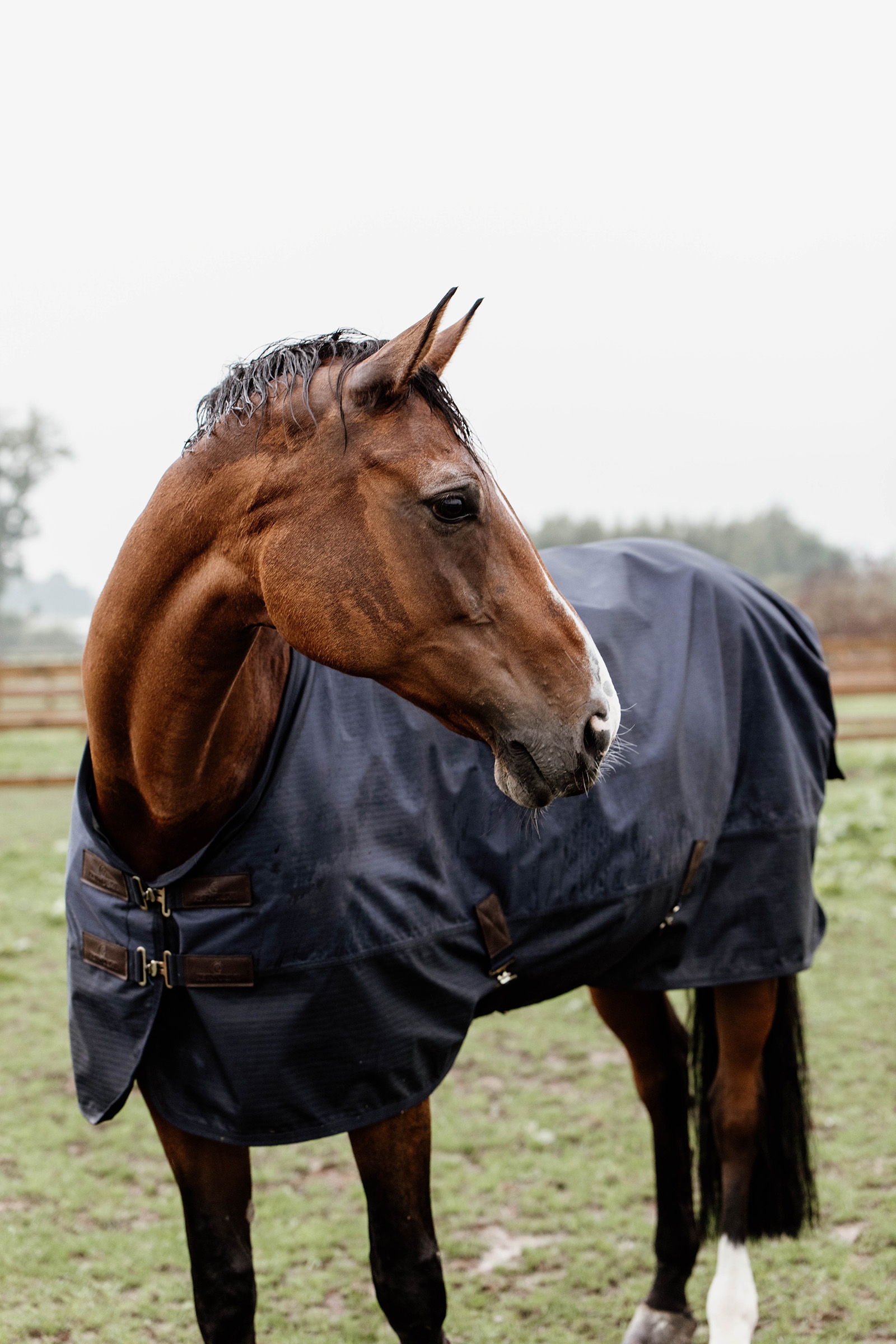 Derka Kentucky Horsewear Turnout na każdą pogodę, 300 g