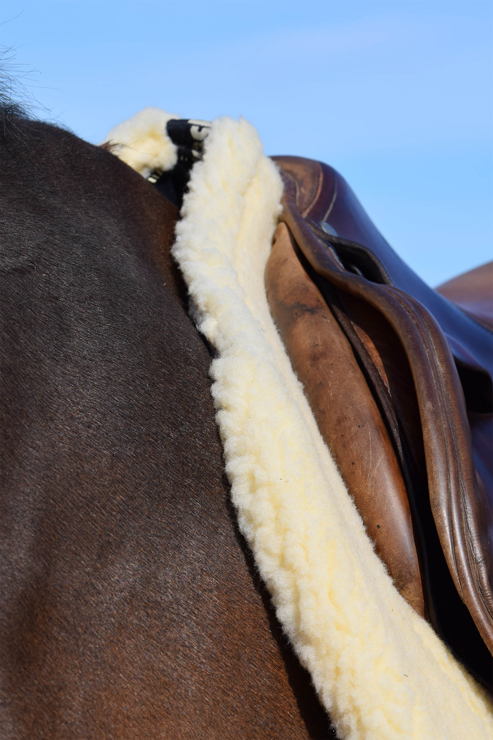 Back on Track Czaprak "Teddy"