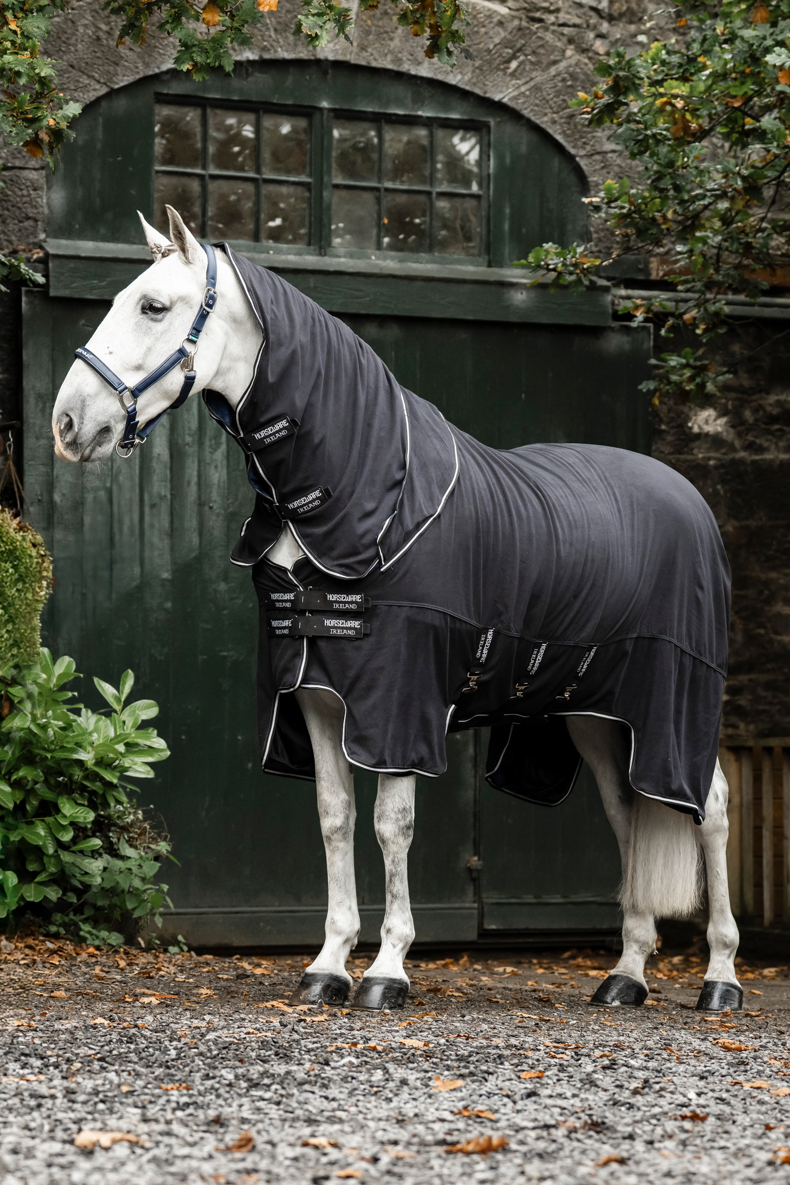 Black/Black/Silver Horseware Show Ready derka