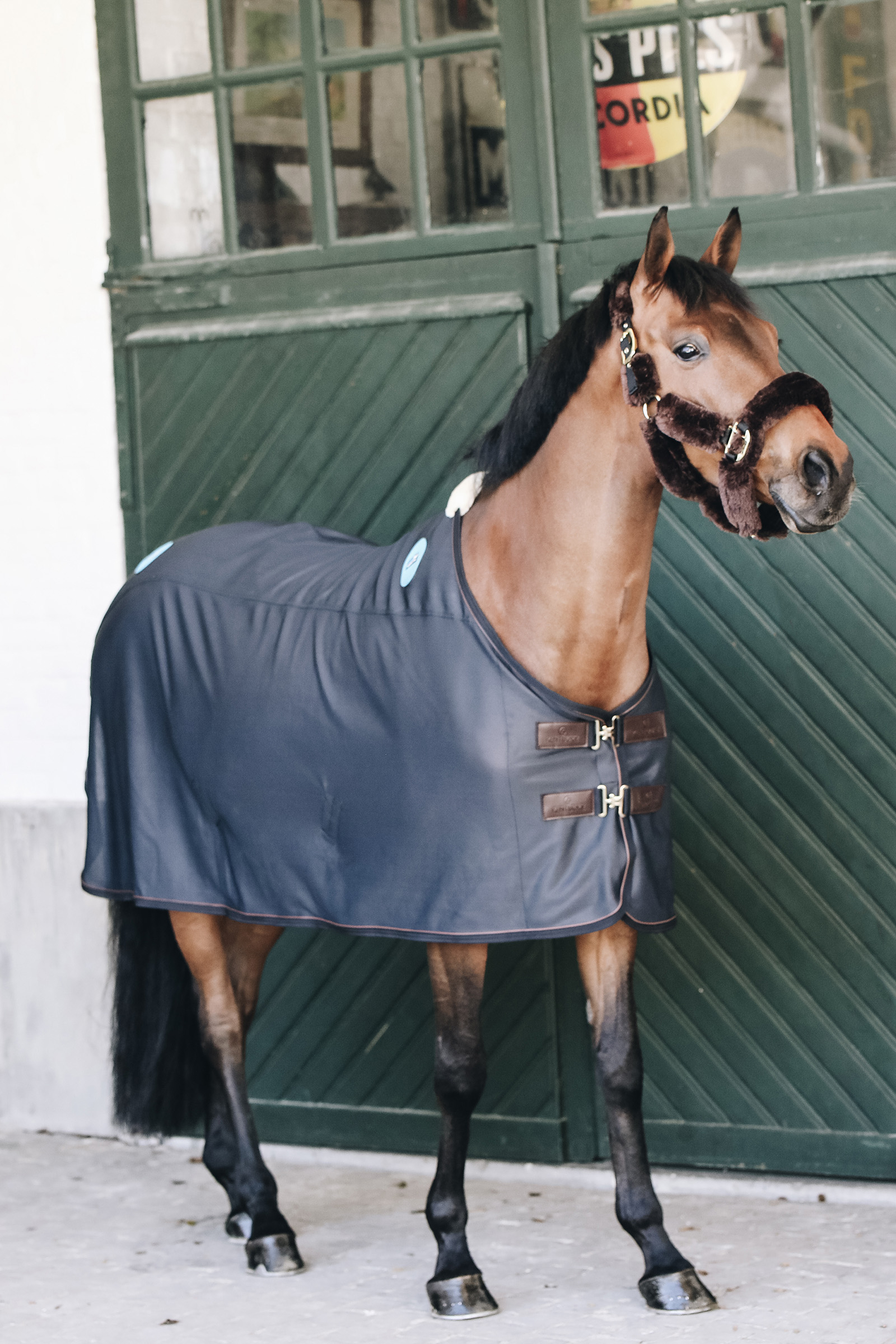 Derka magnetyczna Kentucky Horsewear Magnetic Rug Recuptex