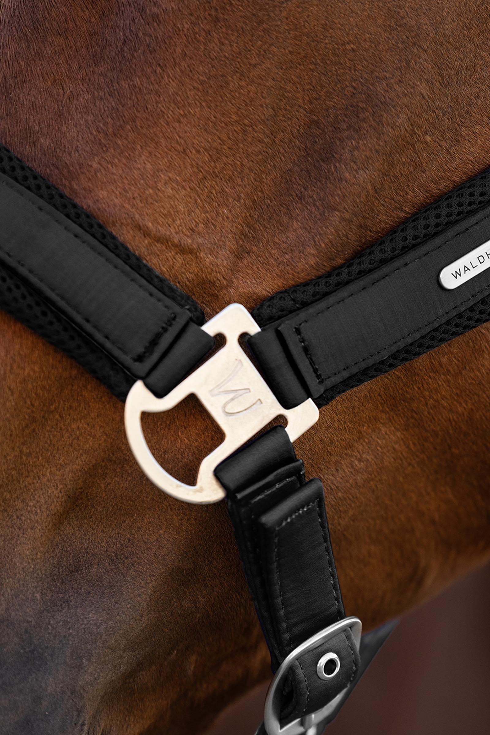 Waldhausen Breath Siatka Kantar