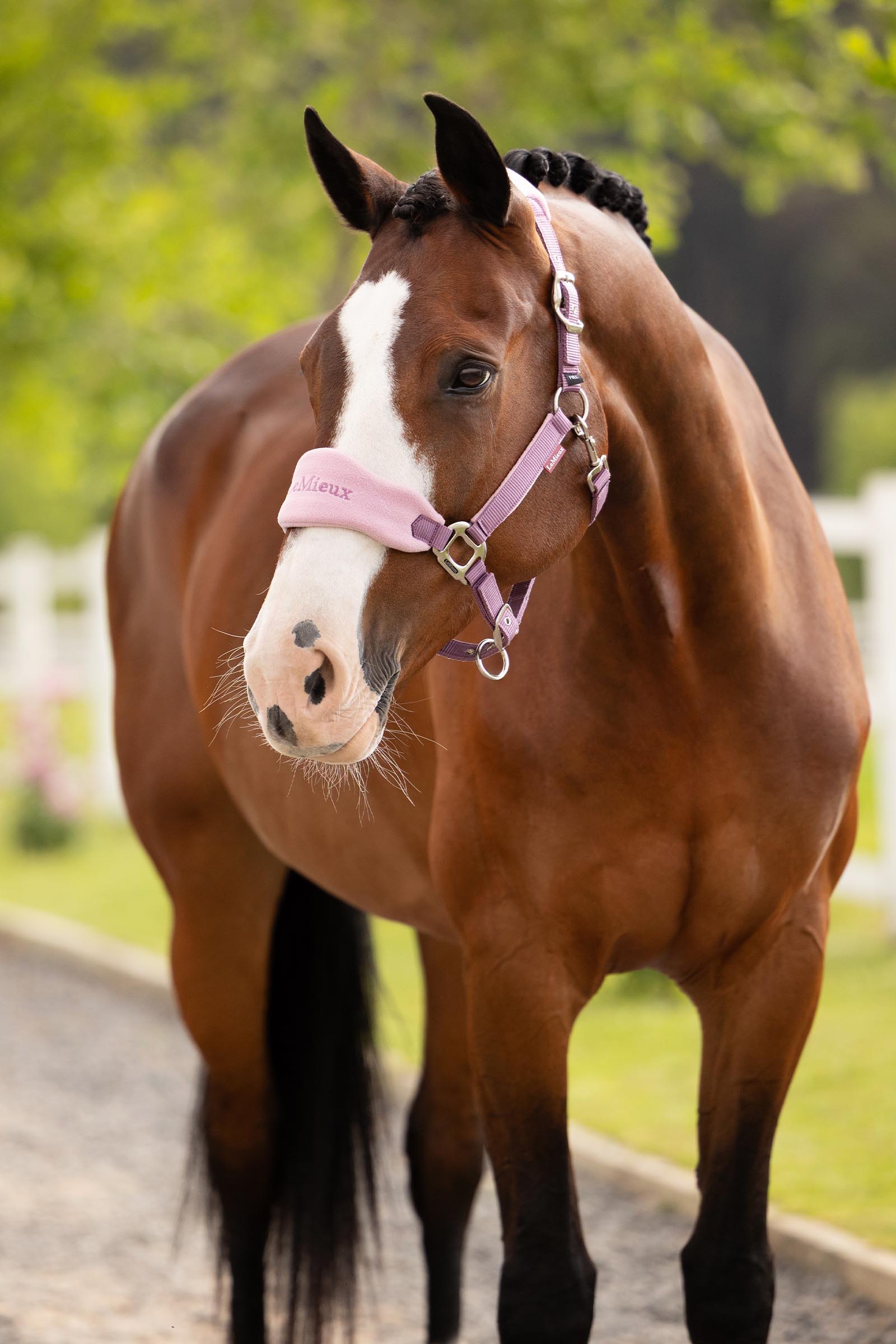 LeMieux Vogue zestaw kantar i uwiąz