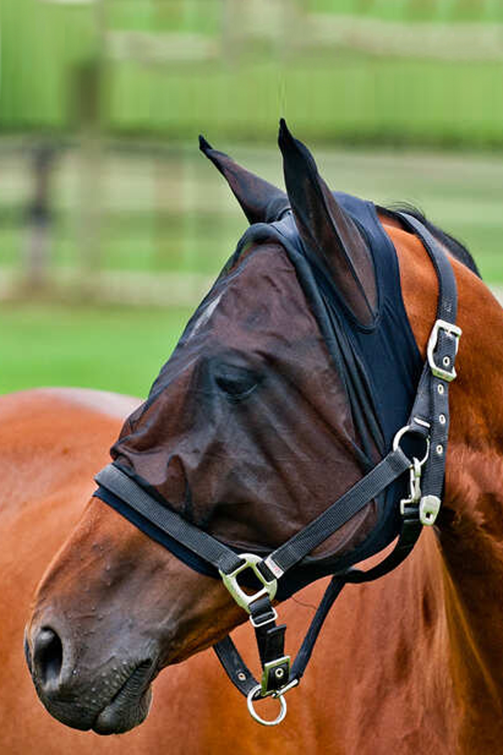 Maska przeciw owadom Horze