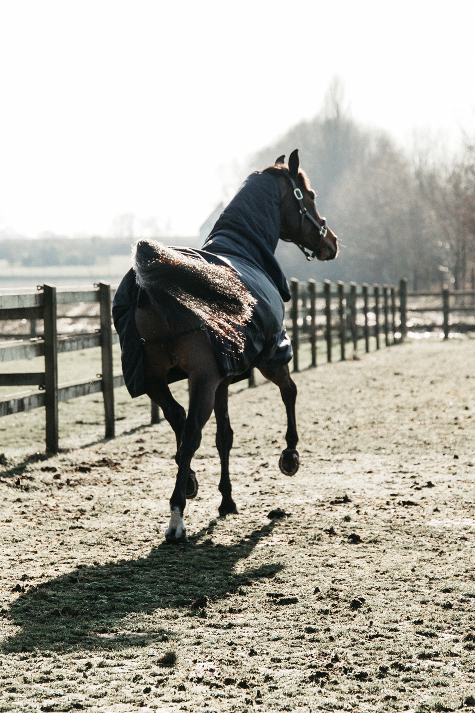 Wodoodporna derka padokowa Kentucky Horsewear All Weather Waterproof Classic, 50g