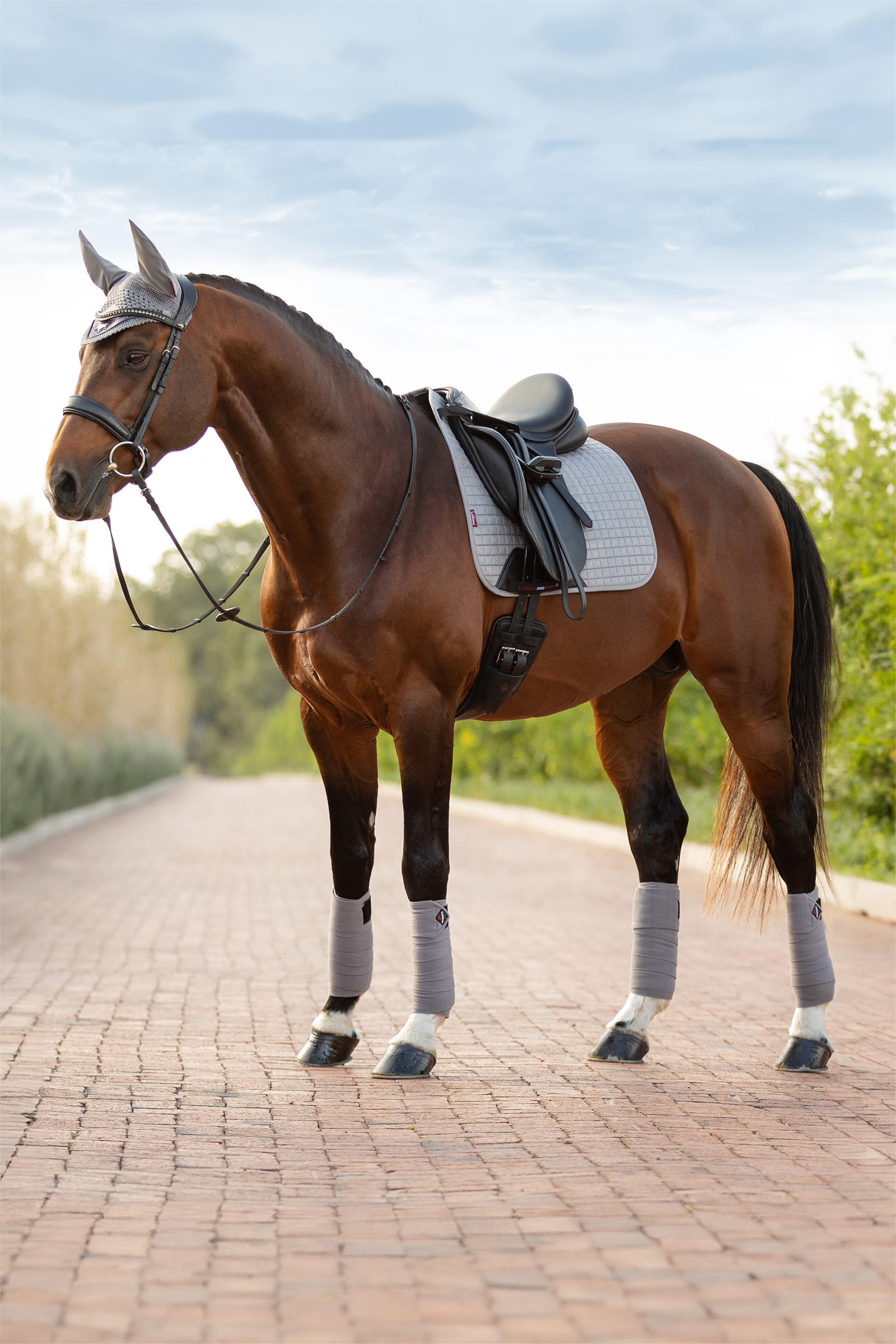 Grey LeMieux Suede czaprak ujeżdżeniowy