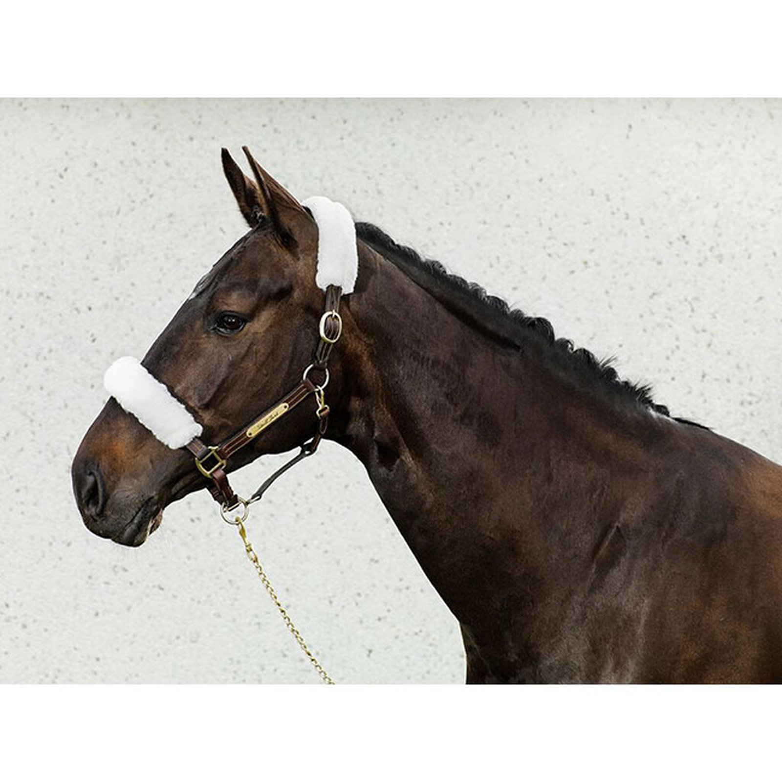 Nakładki na kantar Back on Track