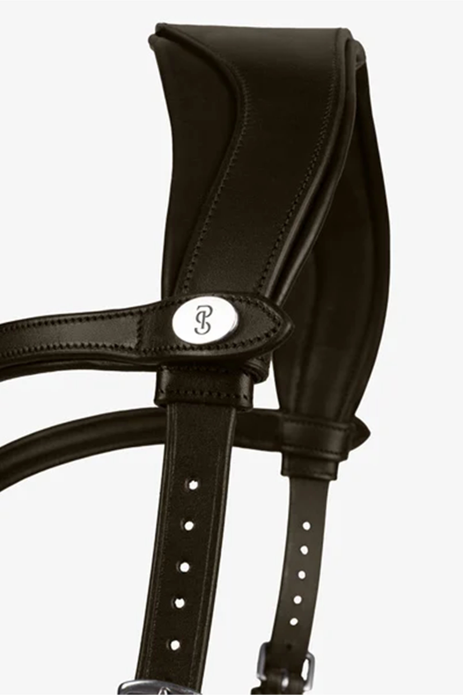 PS of Sweden Ogłowie King Edward