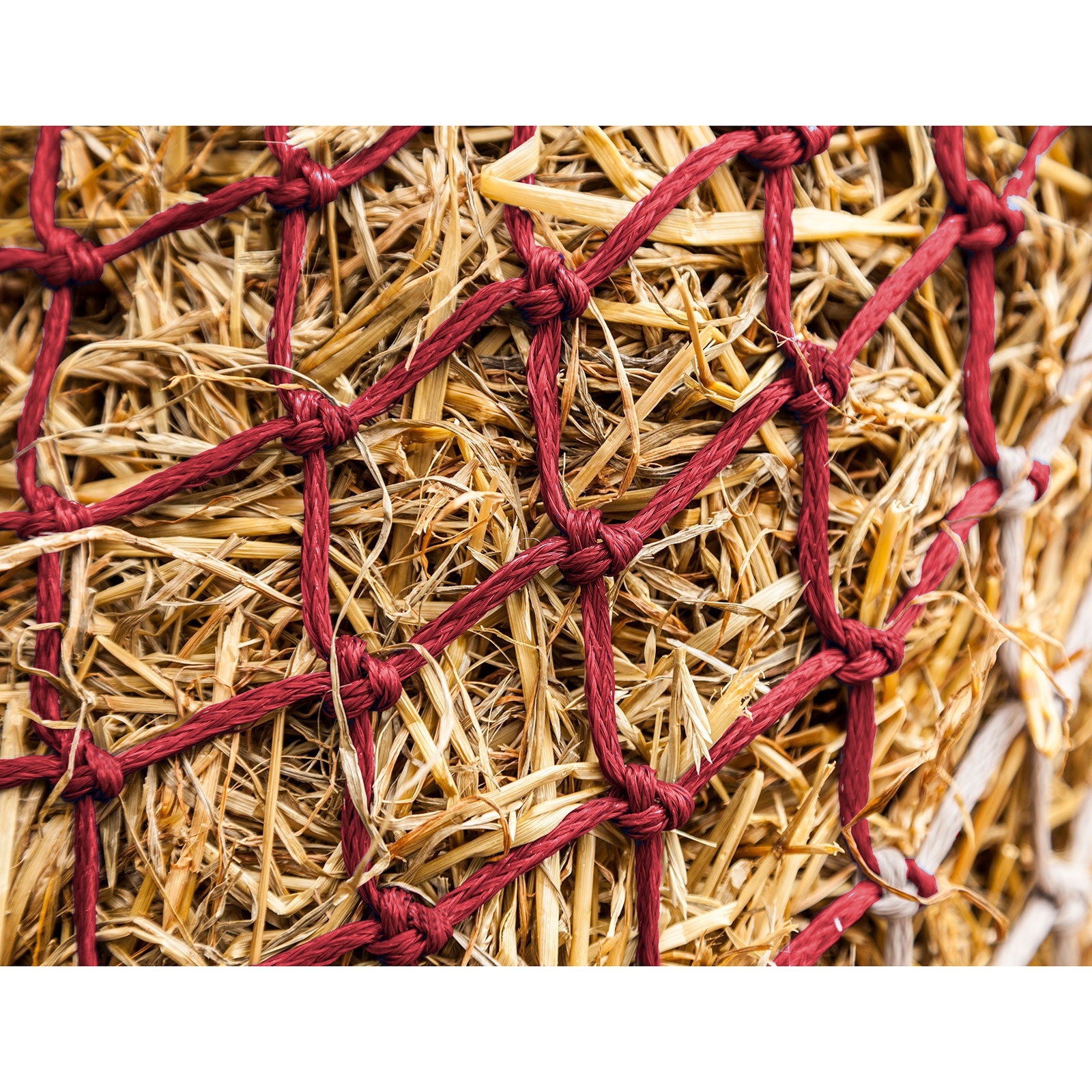 Dark Red/Off-white LeMieux Hippo Siatka na siano