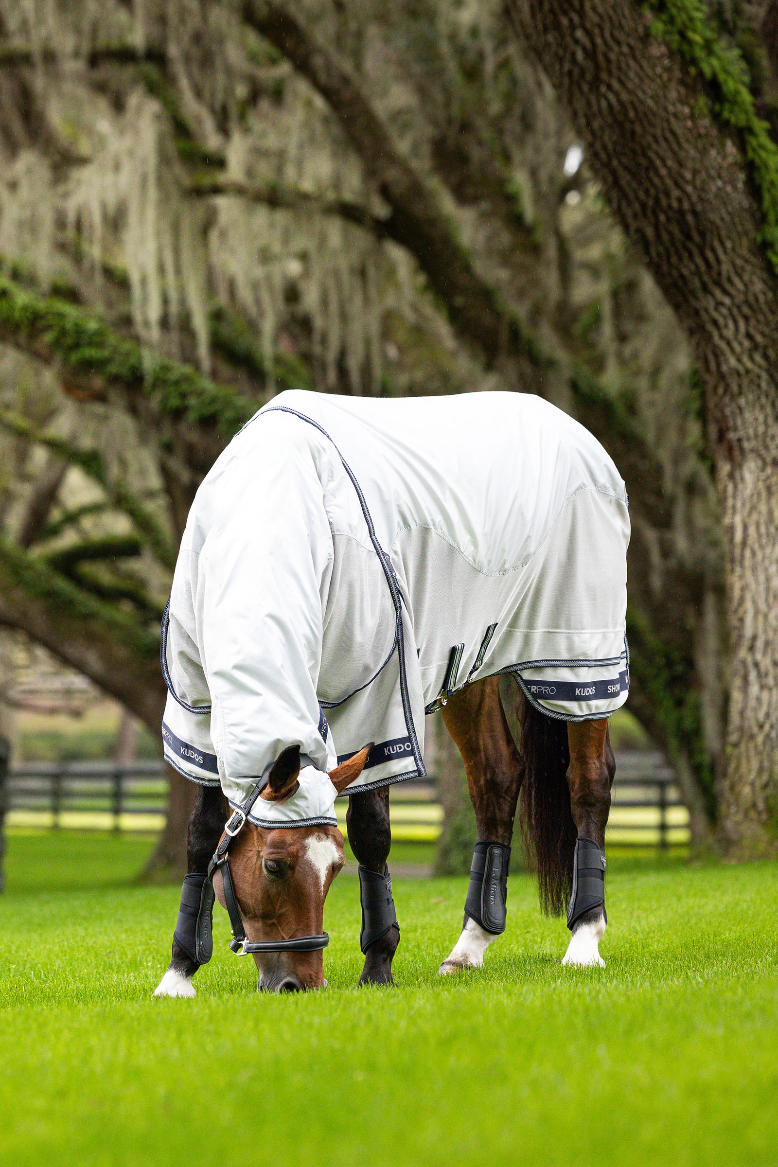 LeMieux Kudos Shower Pro wodoodporna derka przeciw owadom