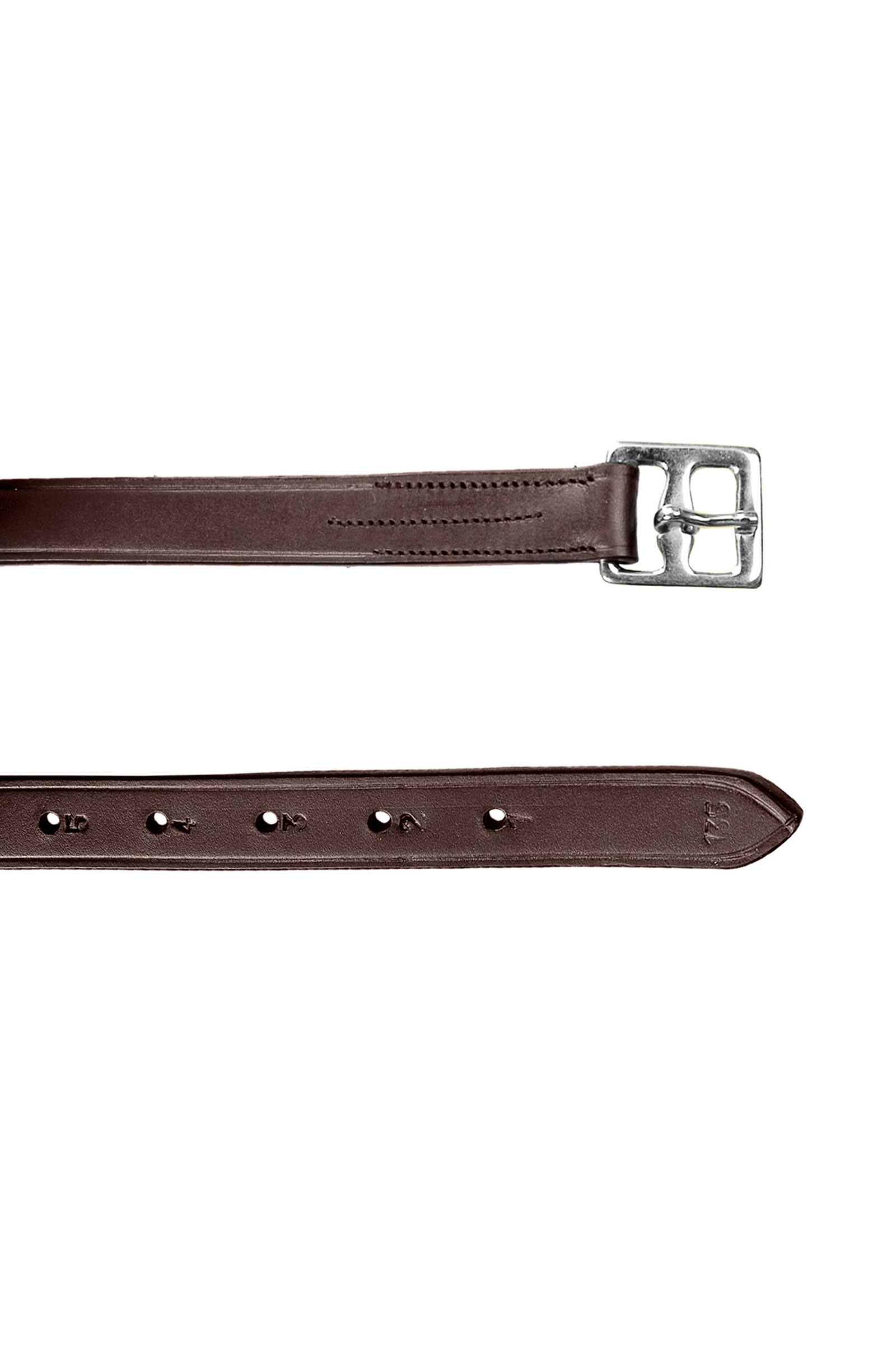 Dark Brown Puśliska Horze