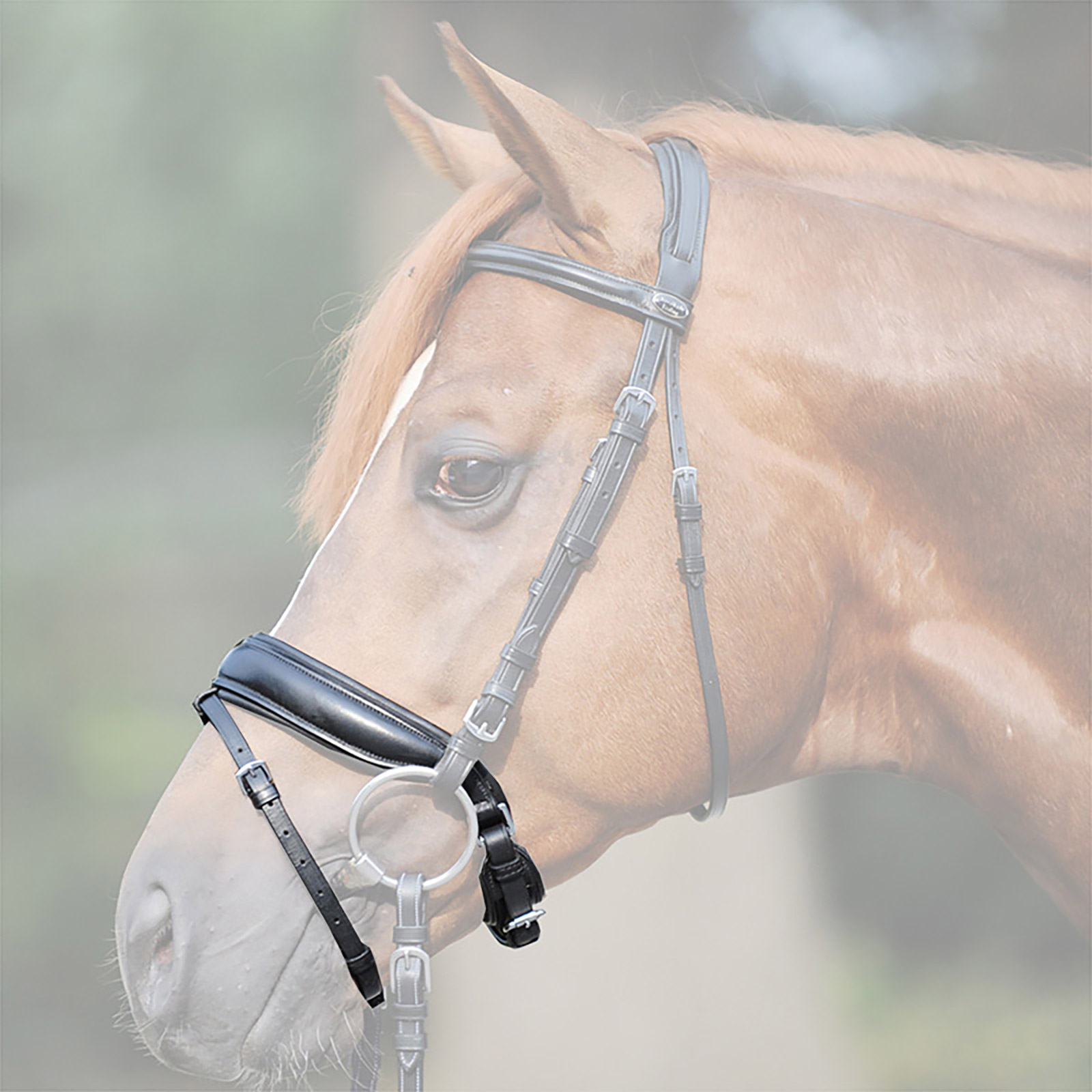 Kavalkade Crank noseband, extra wide