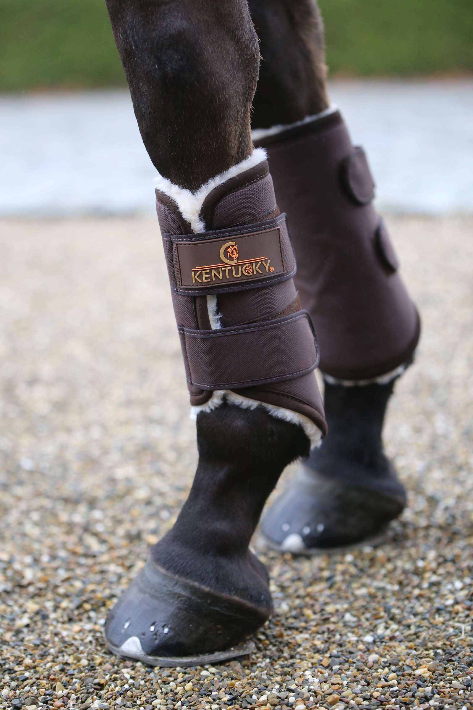 Brown Buty Kentucky Horsewear Solimbra Turnout, przód