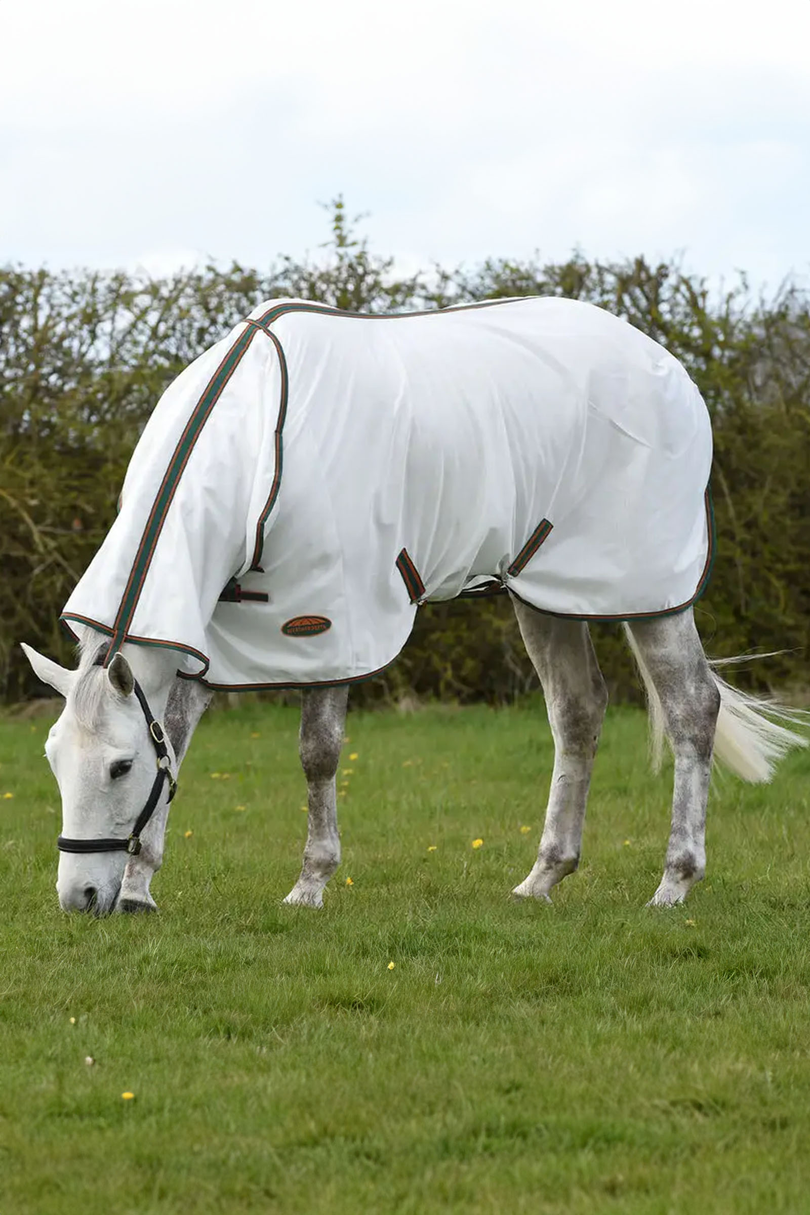 Weatherbeeta Comfitec Tyro derka siatkowa z częścią szyjną
