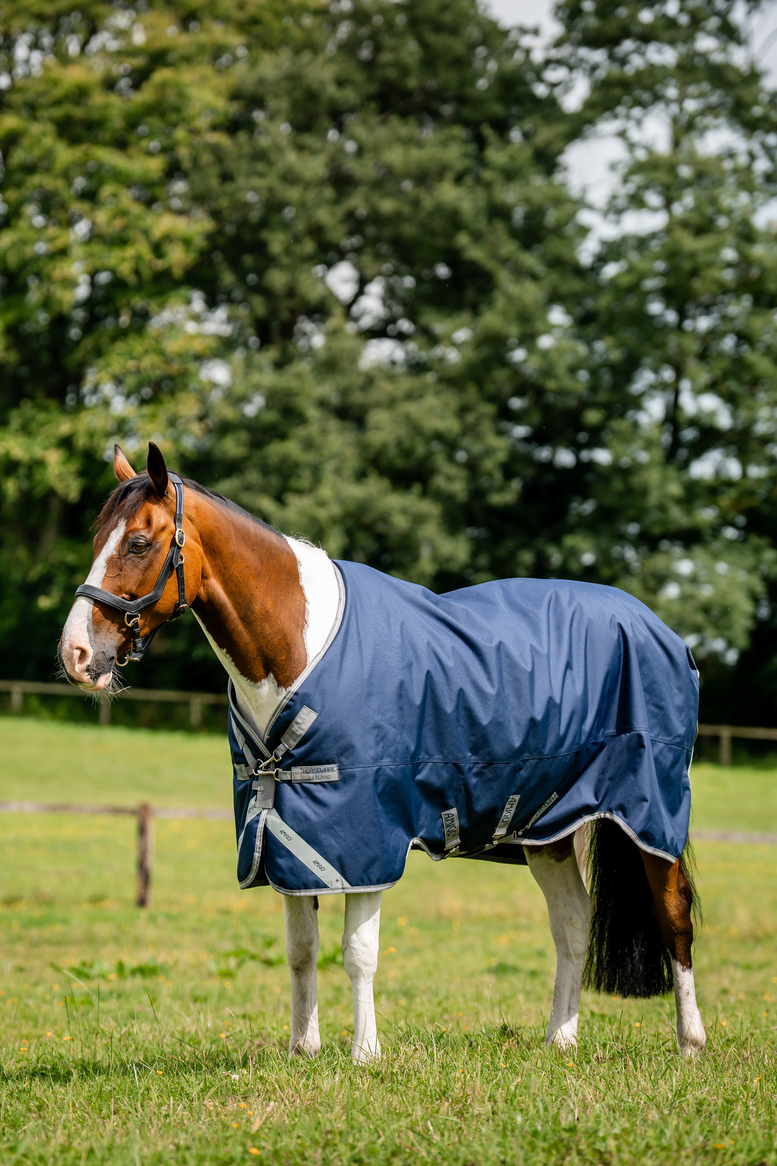 Horseware Amigo 1200D derka padokowa, 250 g