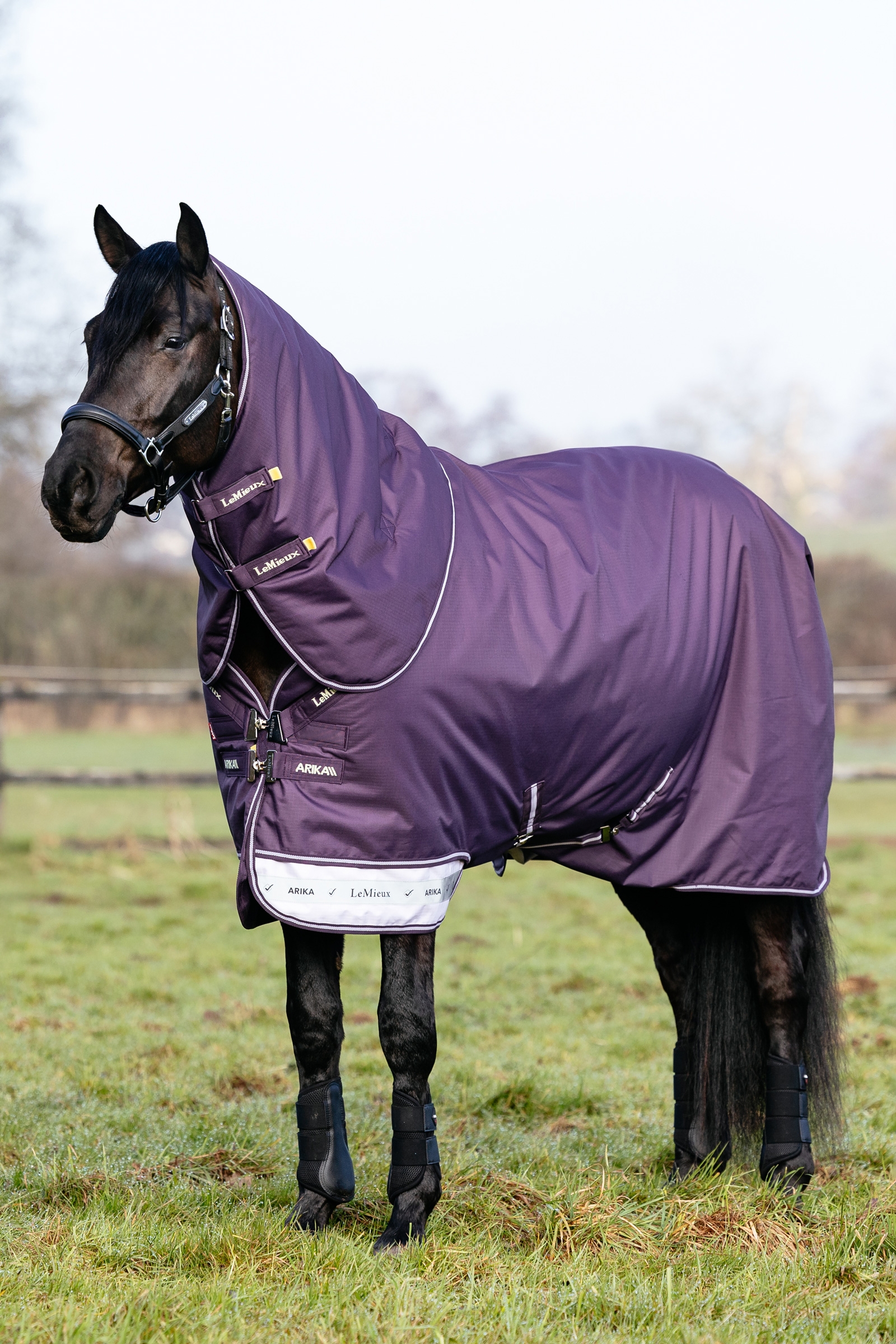LeMieux Arika Ripstop Turnout Rug With Detachable Neck, 100 g