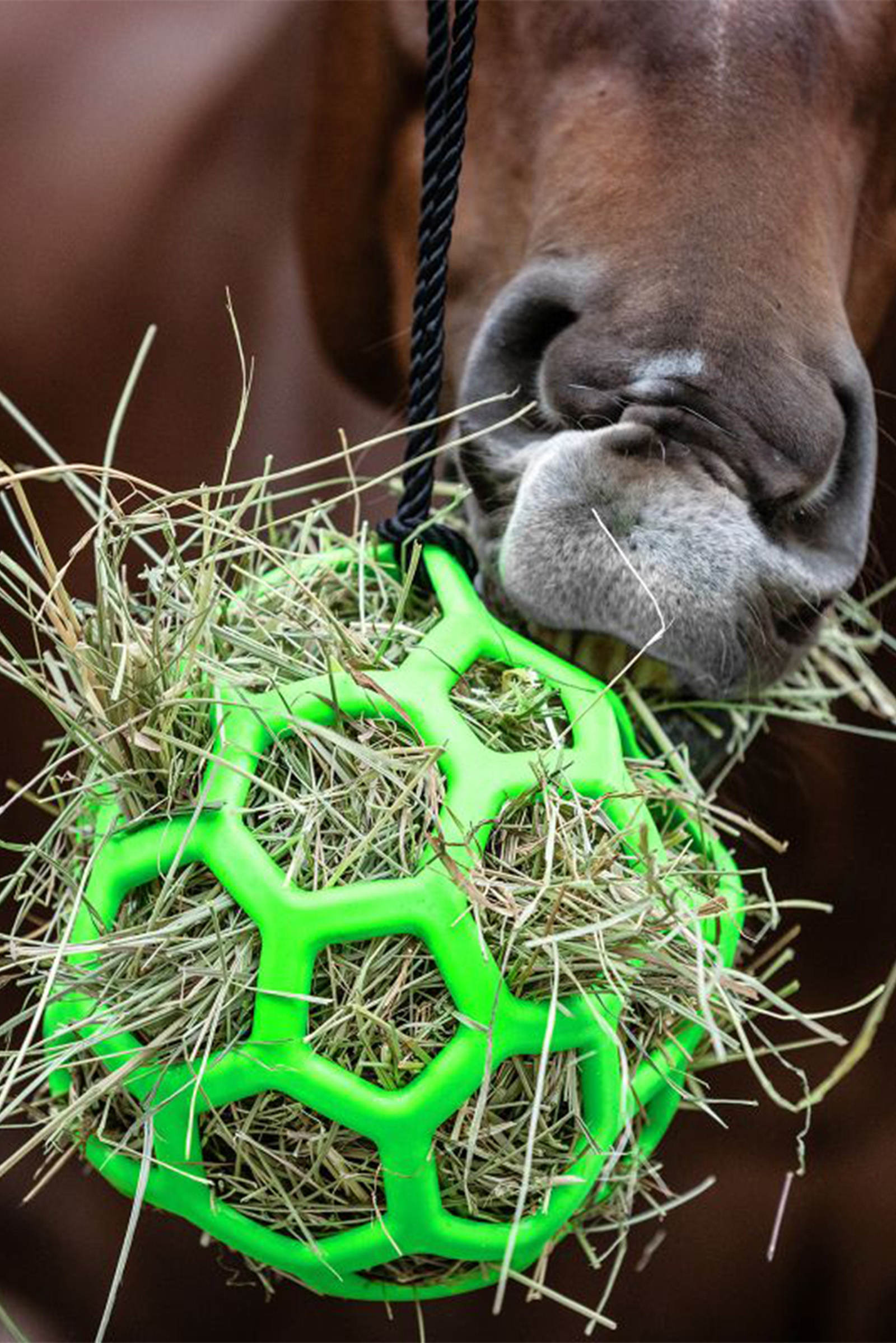 Waldhausen piłka na siano