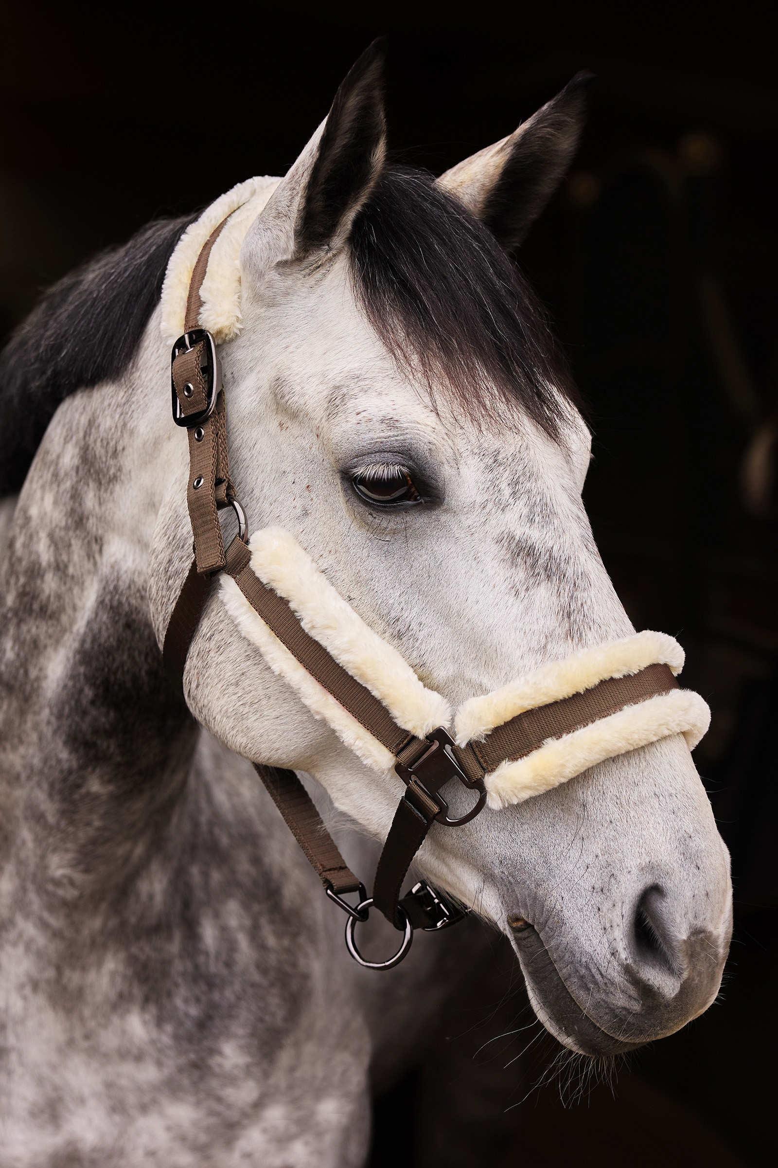 Kantar Horze Marquess z podszyciem ze sztucznego futerka