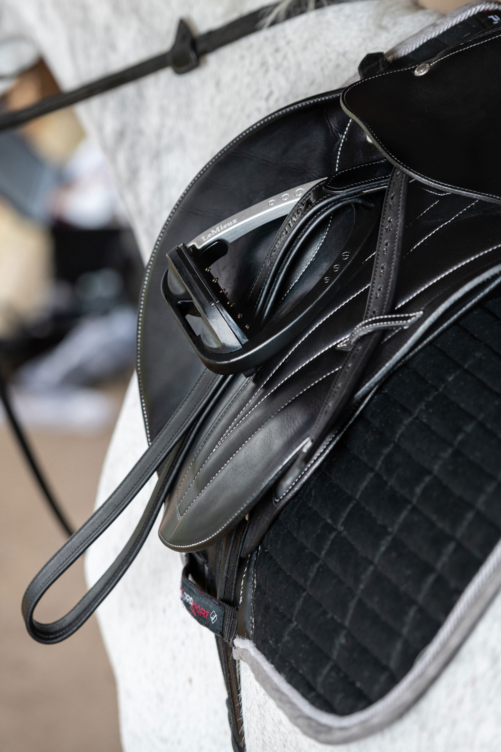 LeMieux Vector puśliska