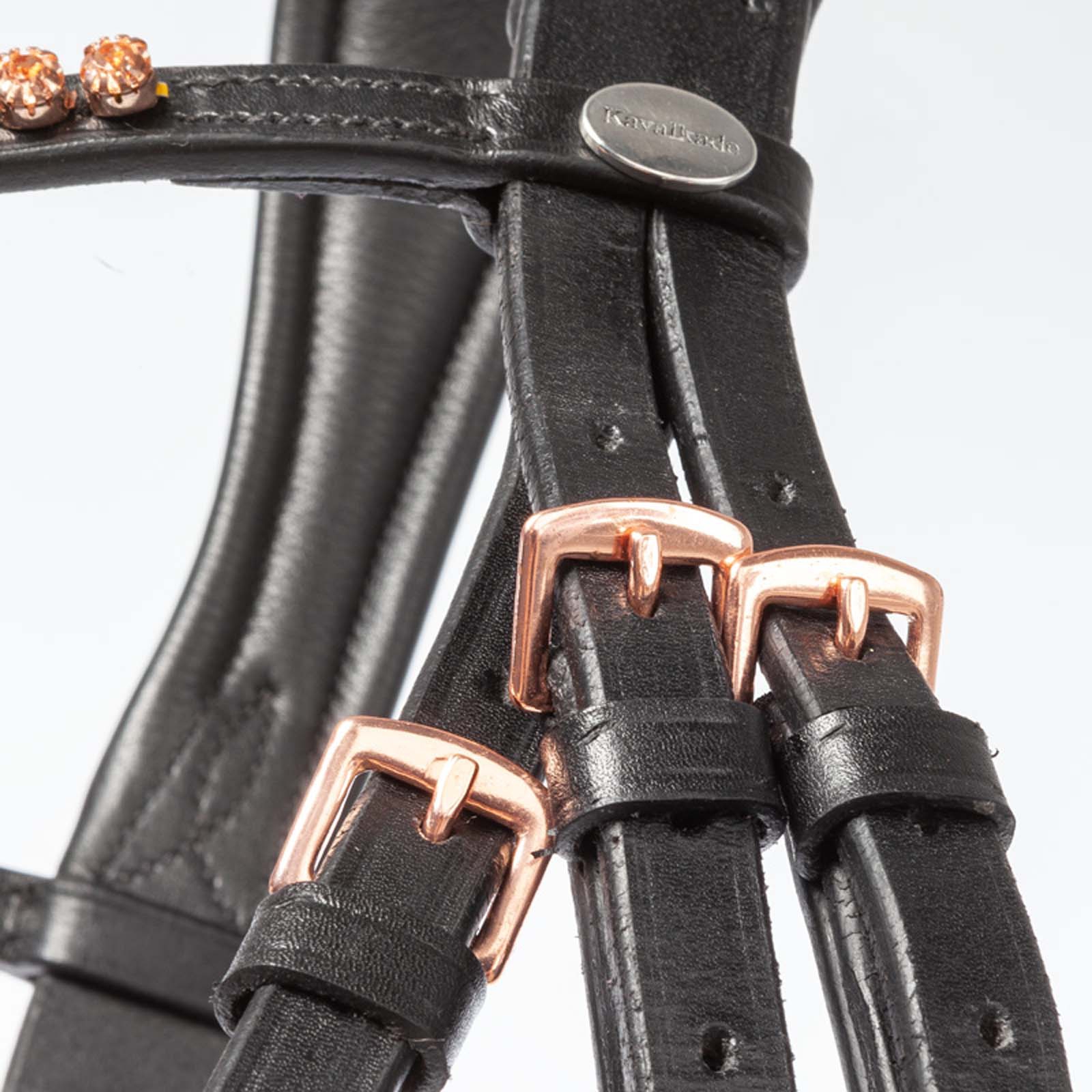 Kavalkade Bridle Rose