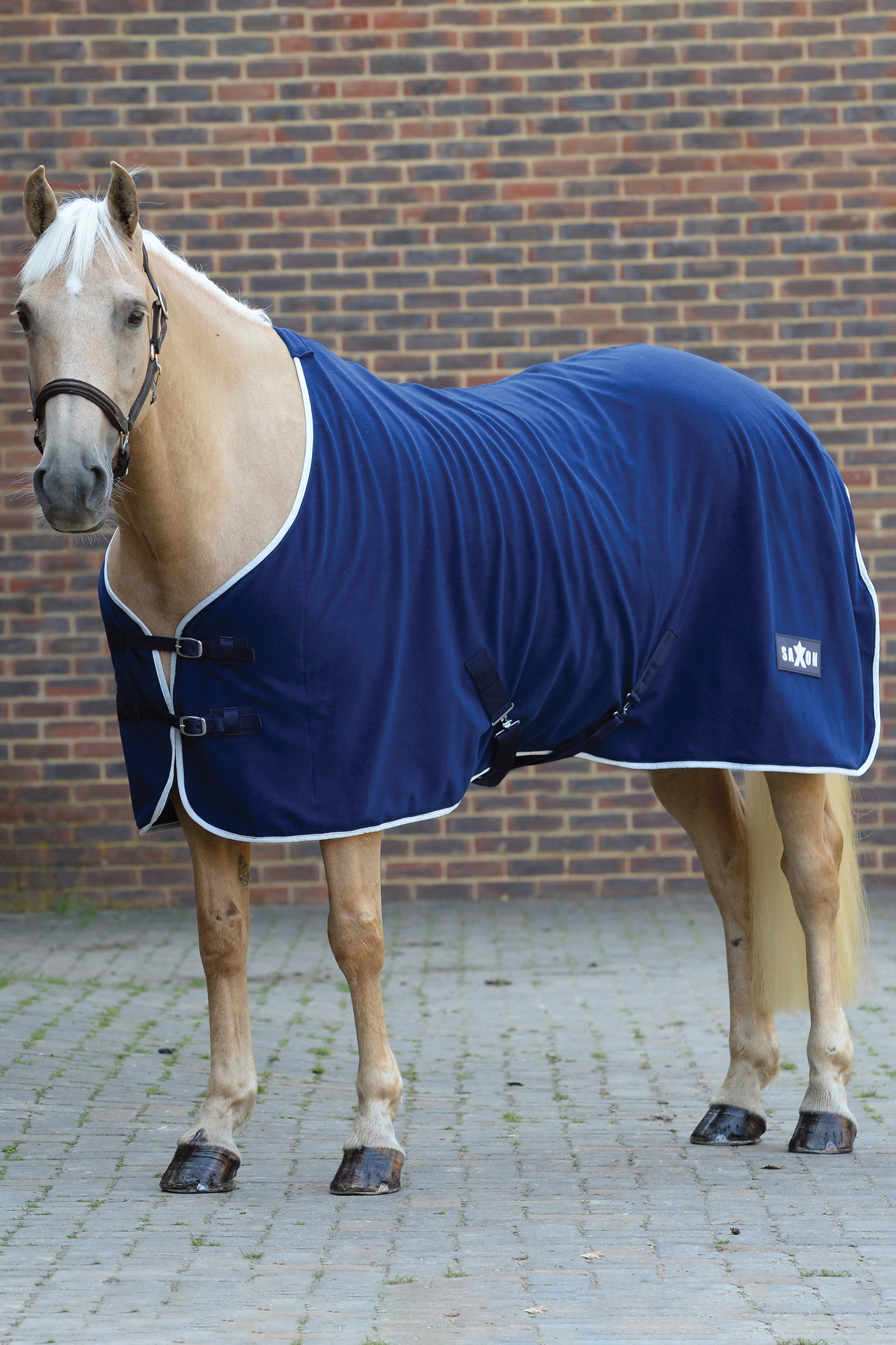 Saxon Derka polarowa