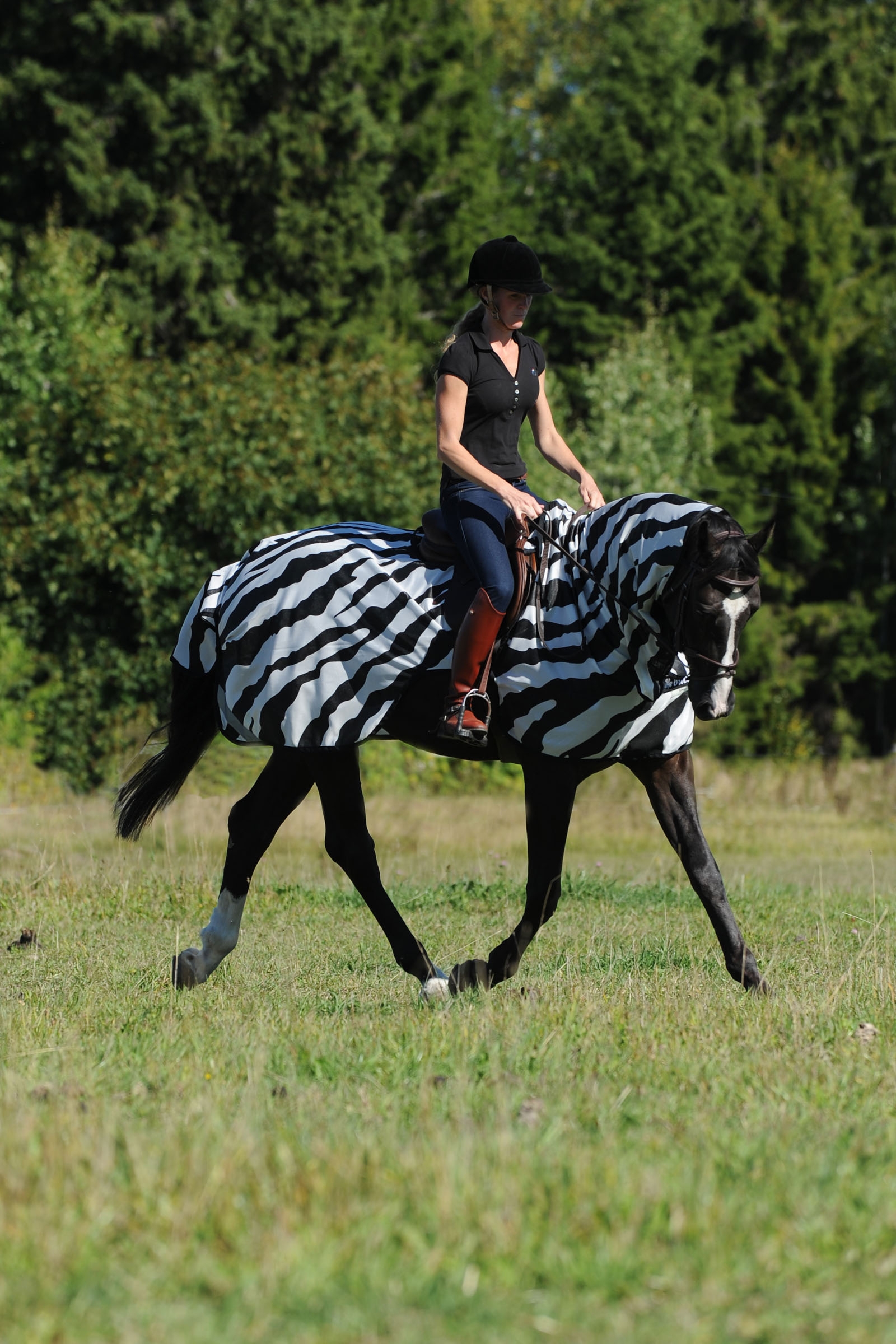 Bucas Buzz-Off Riding Zebra Derka do latania i jazdy konnej