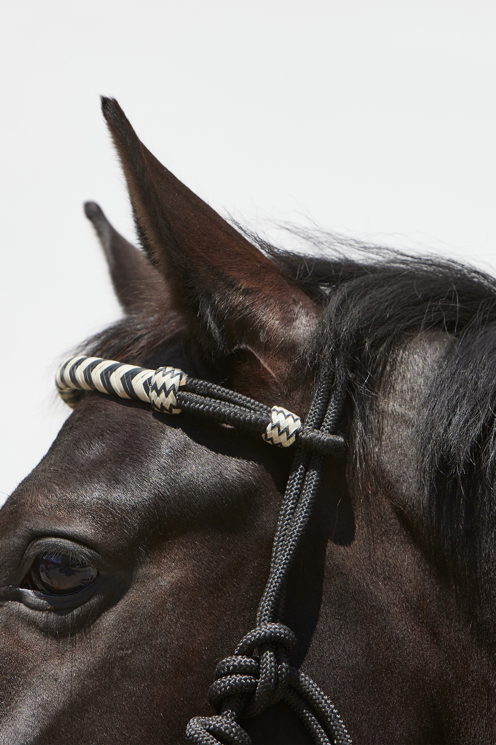 Kantar ze sznurka Kieffer Enya