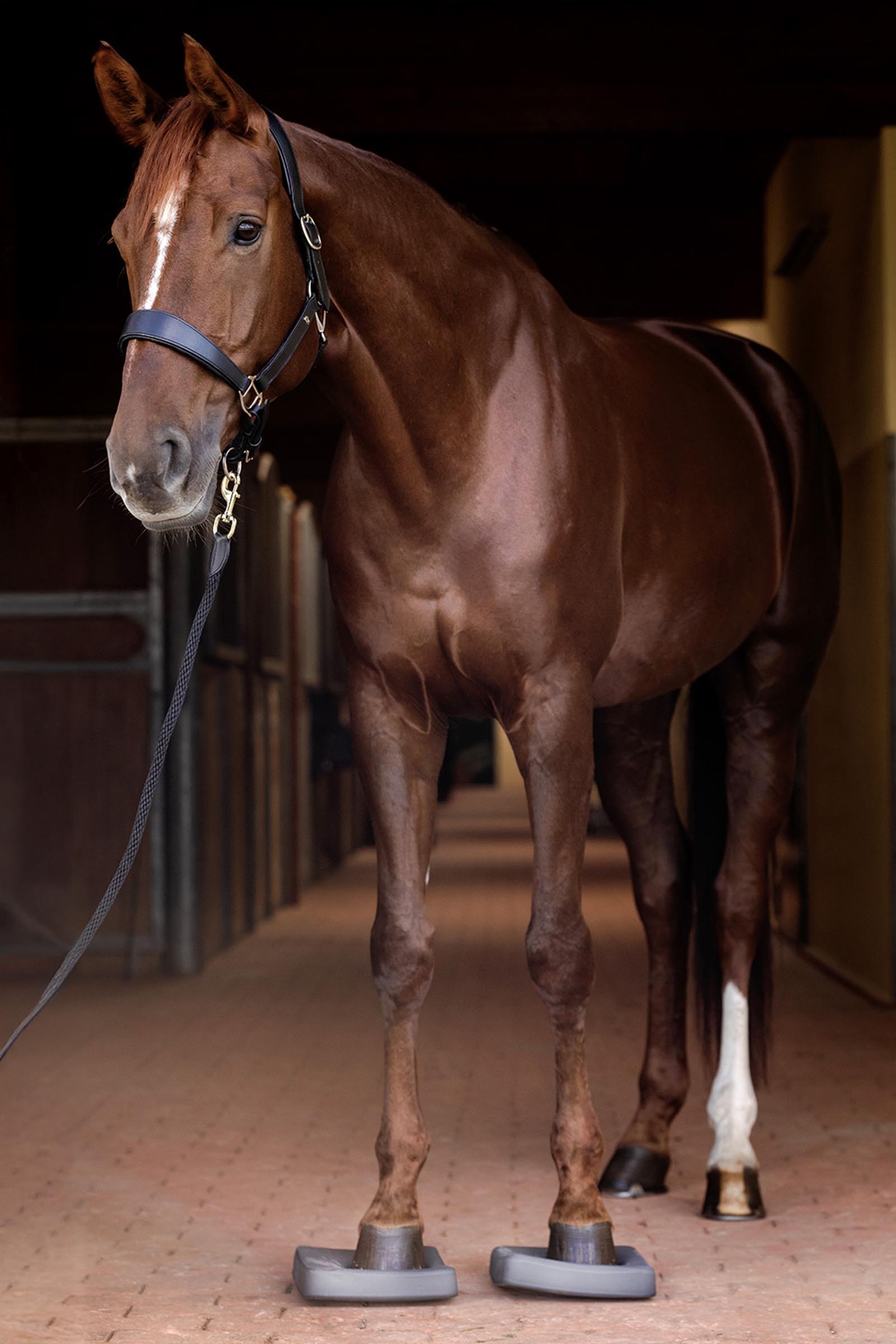 Waldhausen Health + Care Poduszki Balance