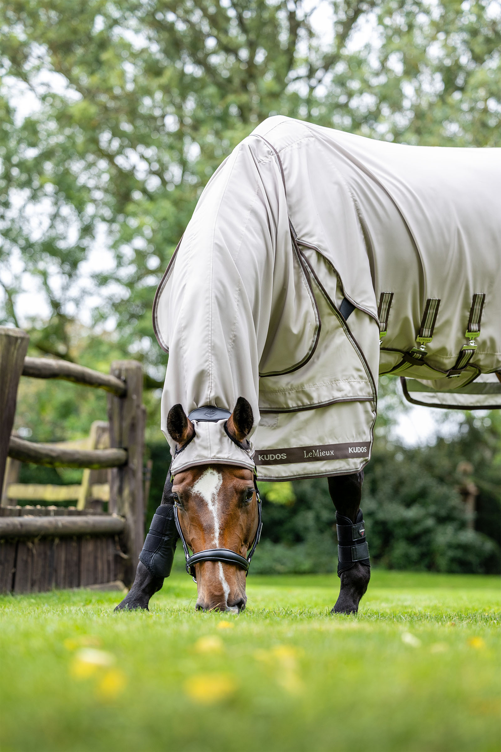 LeMieux Kudos derka przeciwko świądowi