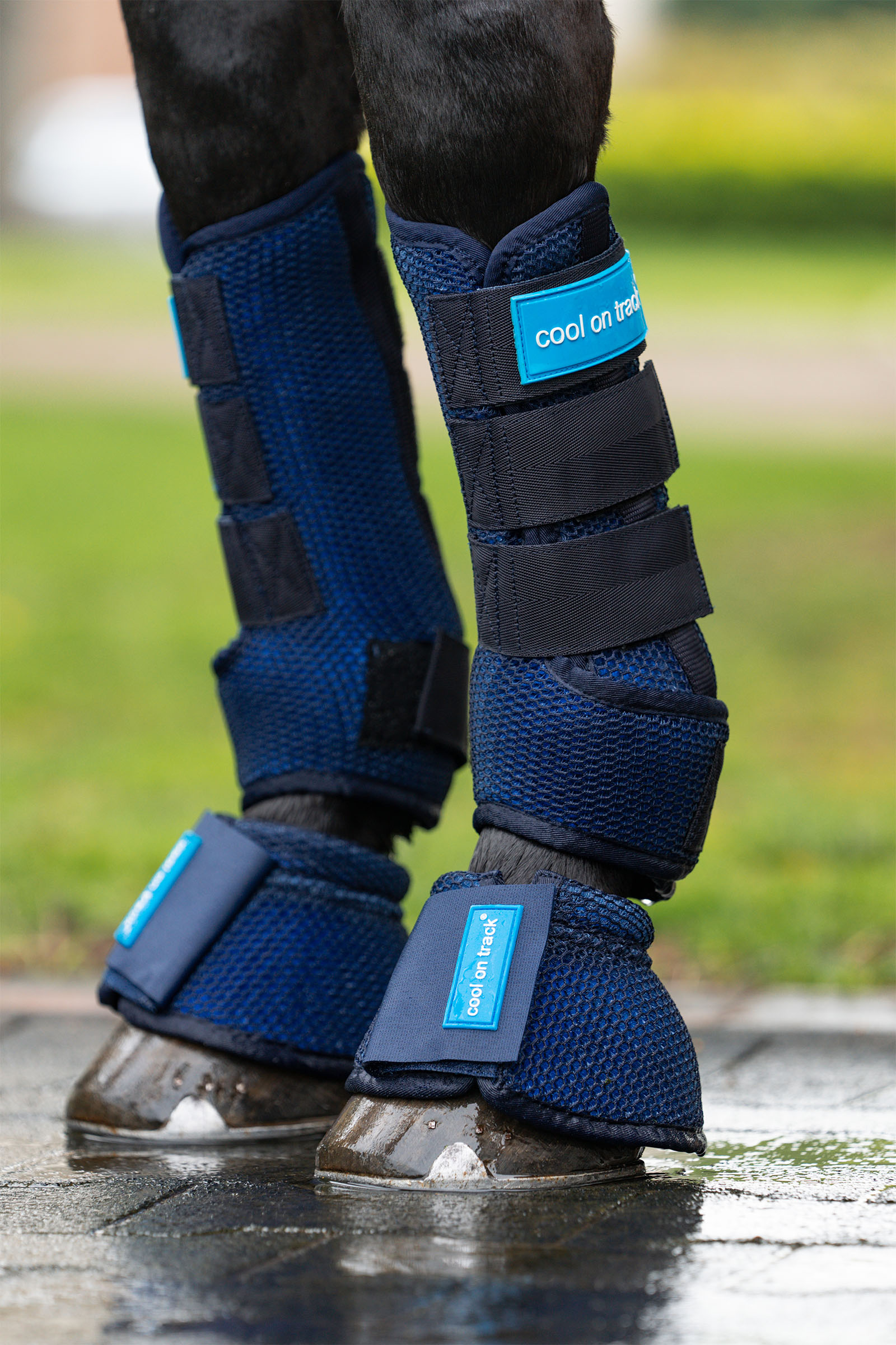 Back on Track Cool on Track ochraniacze