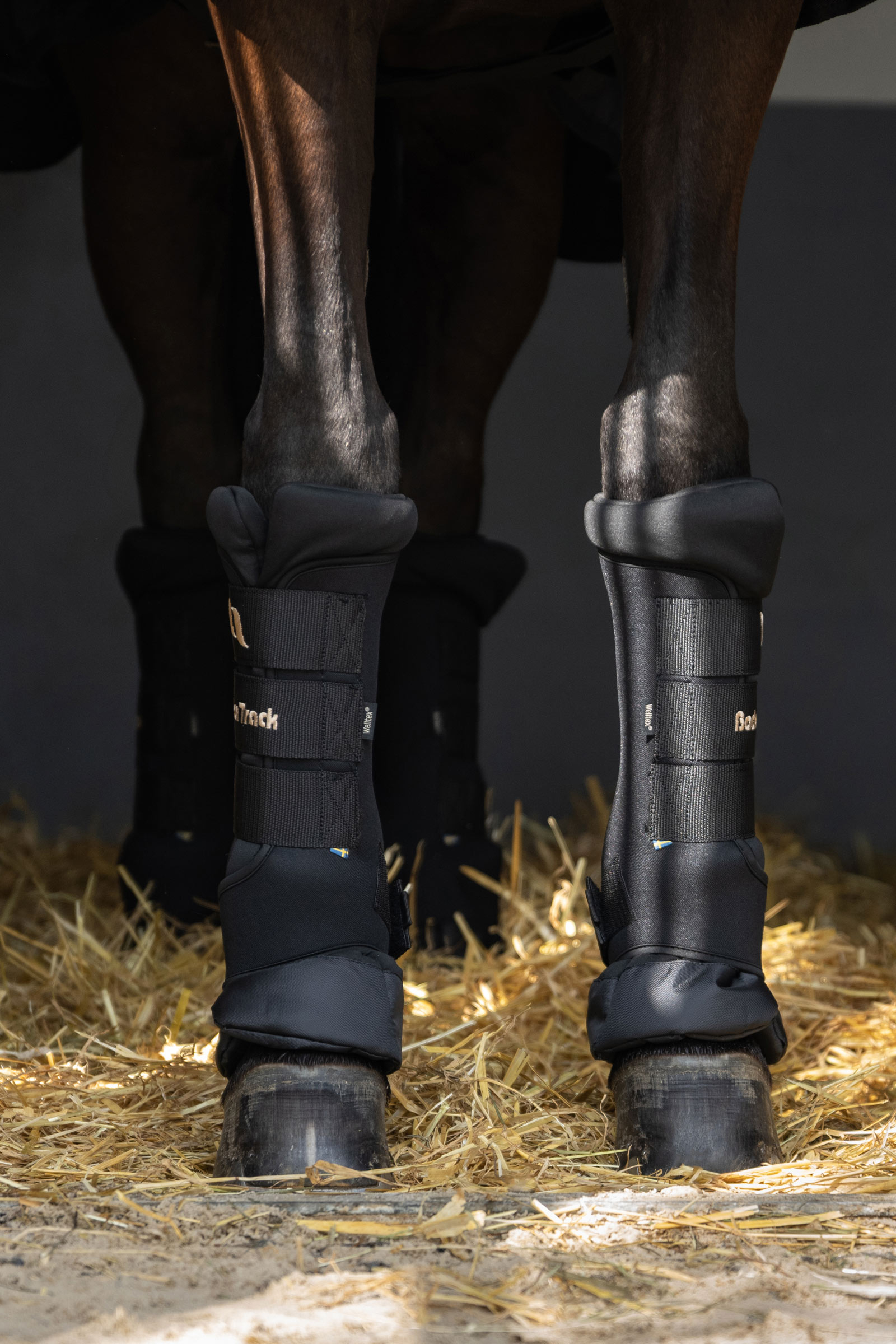 Ochraniacze Back on Track Quick Royal