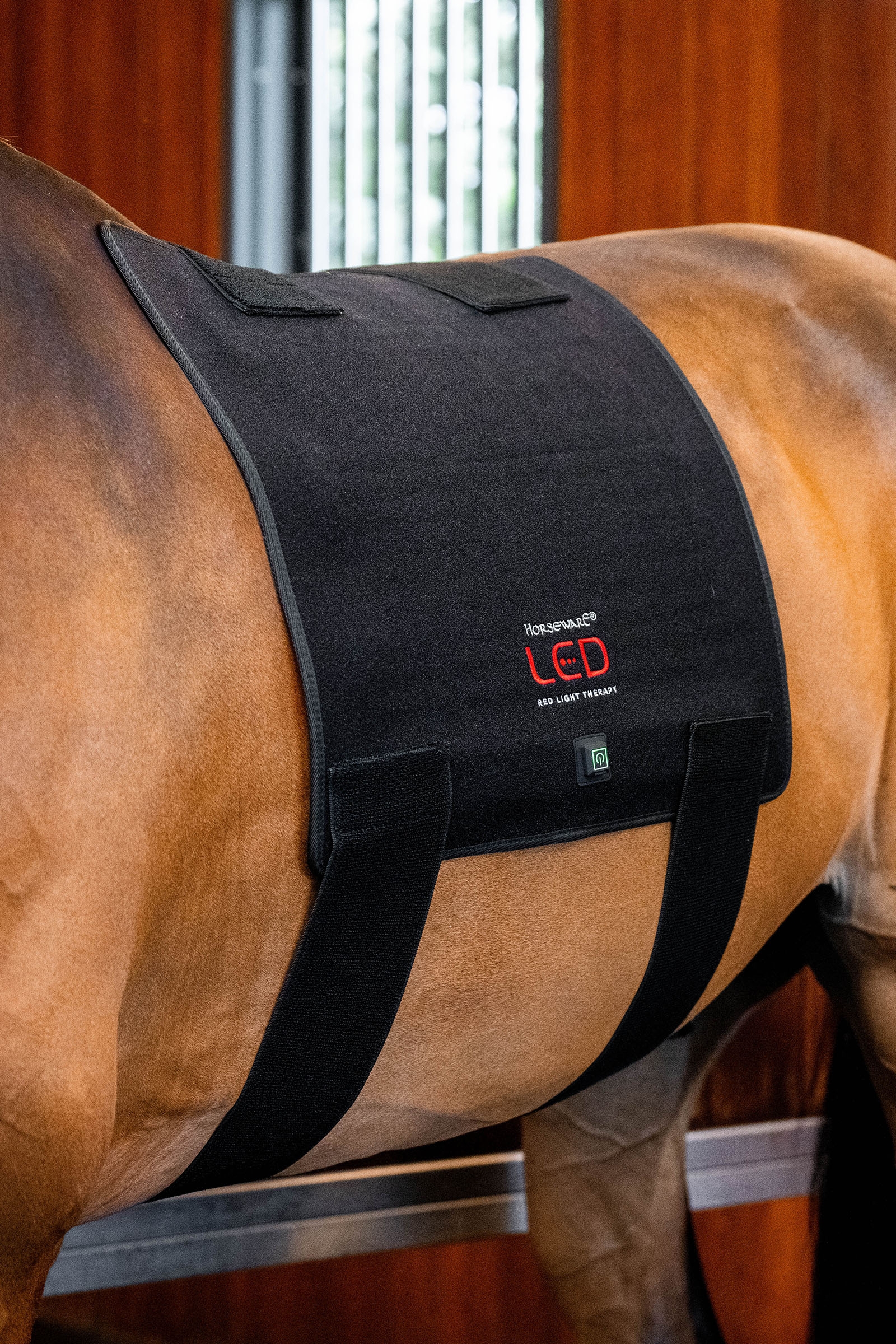 Horseware LED terapeutyczny Pad z czerwonym światłem