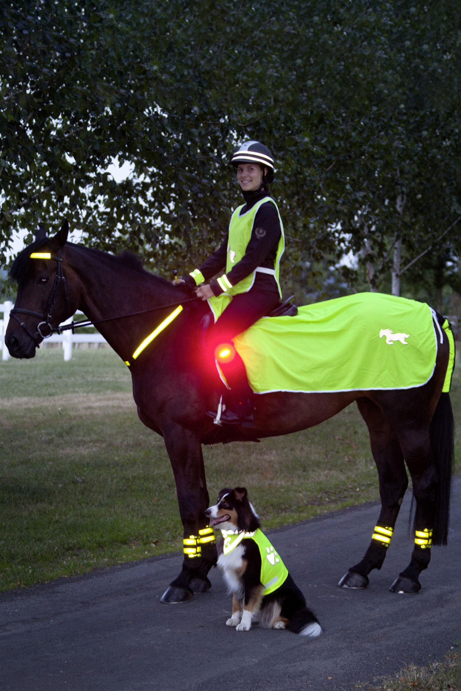 USG Odblaskowa derka