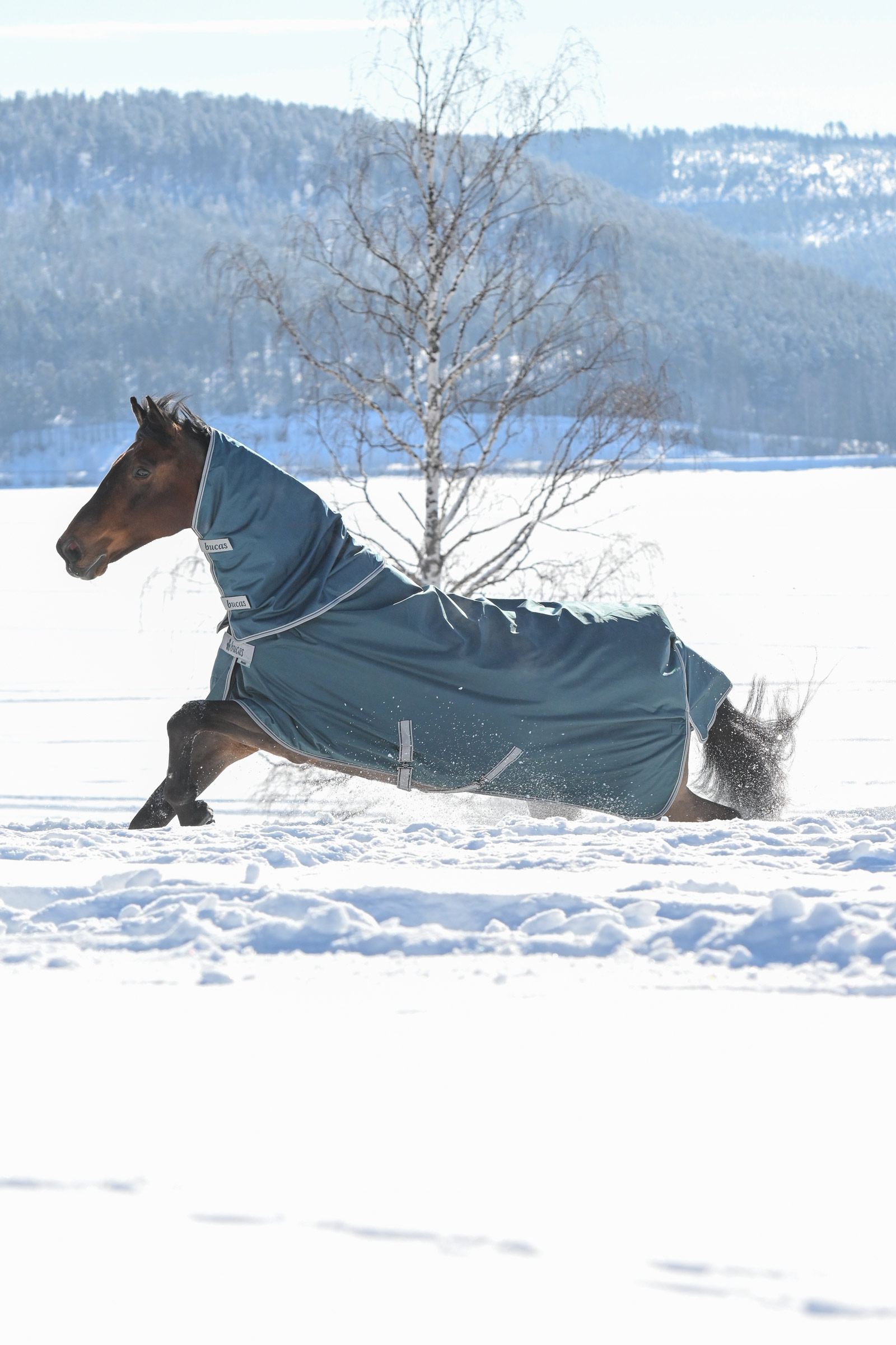 Bucas Atlantic kaptur do derek padokowych, 300 g