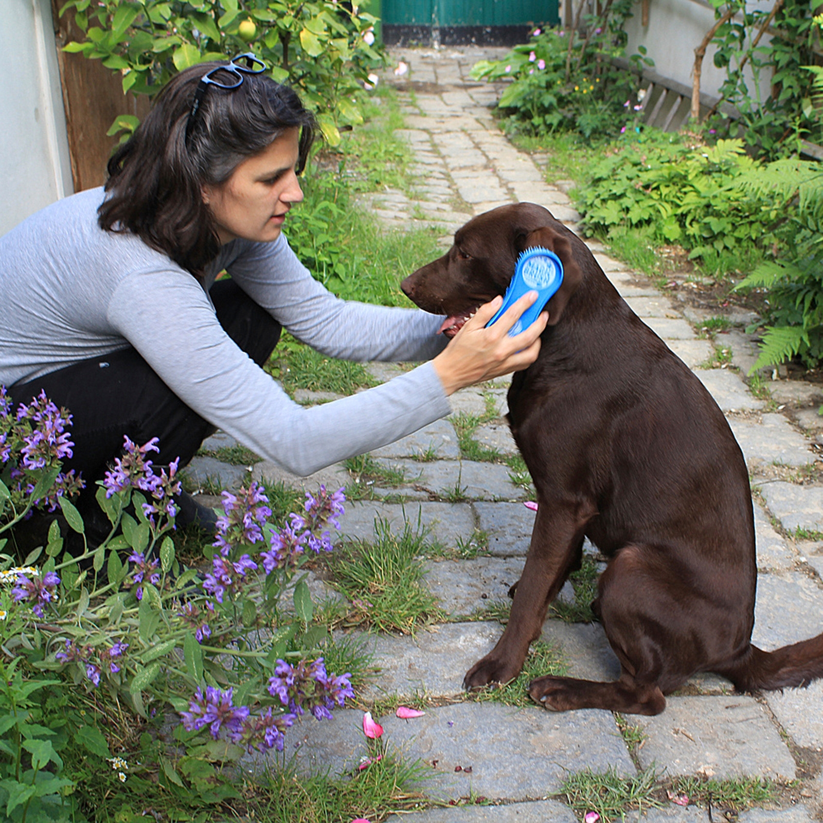 Szczotka dla psa Kerbl Magic Brush