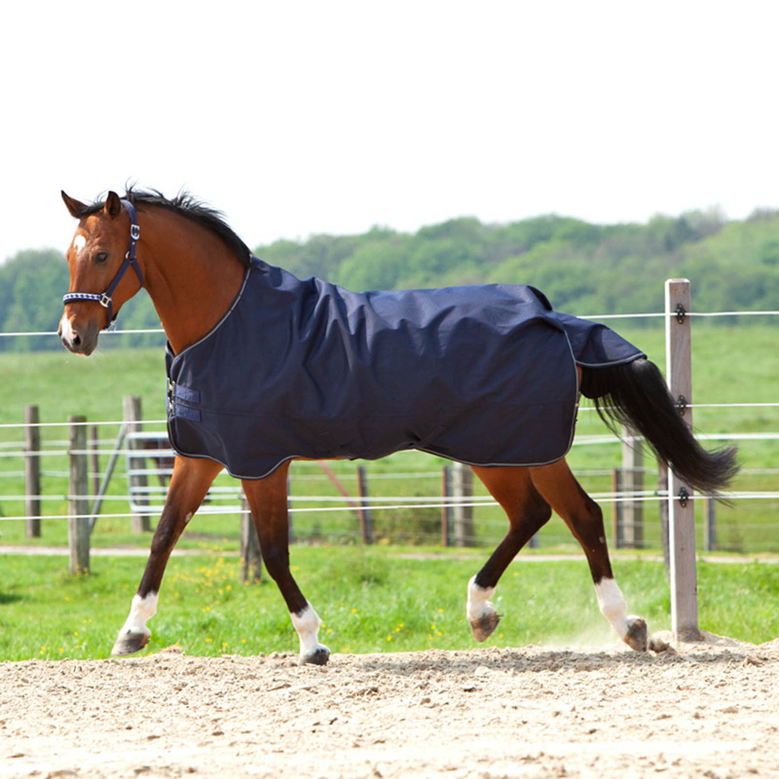 Kavalkade Montreal Turnout Rug, 0g