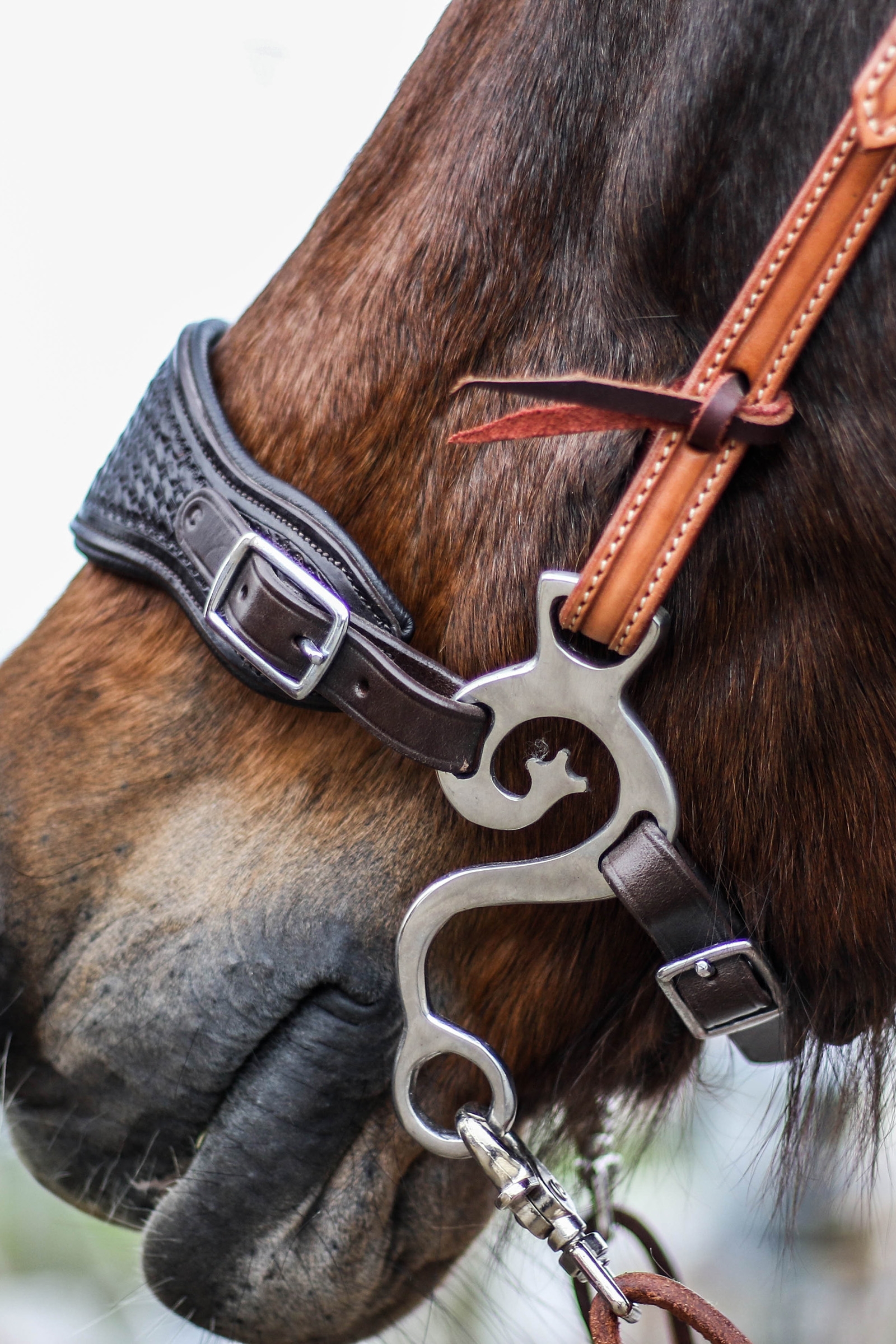 F.R.A. Freedom Riding Articles Music Zestaw Hackamore SS, 140 mm