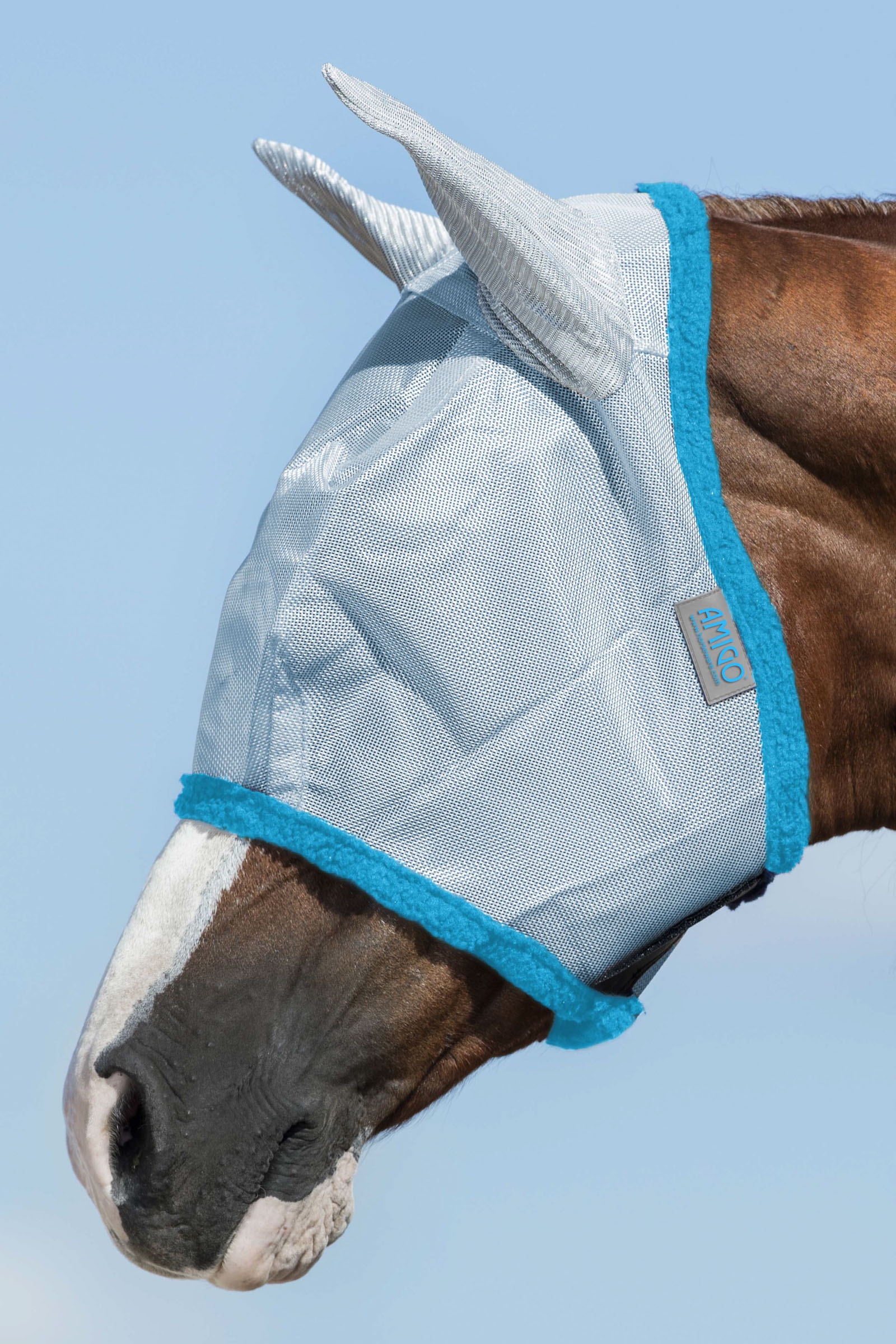 Baby Blue / Electric Blue Horseware Amigo Maska konia