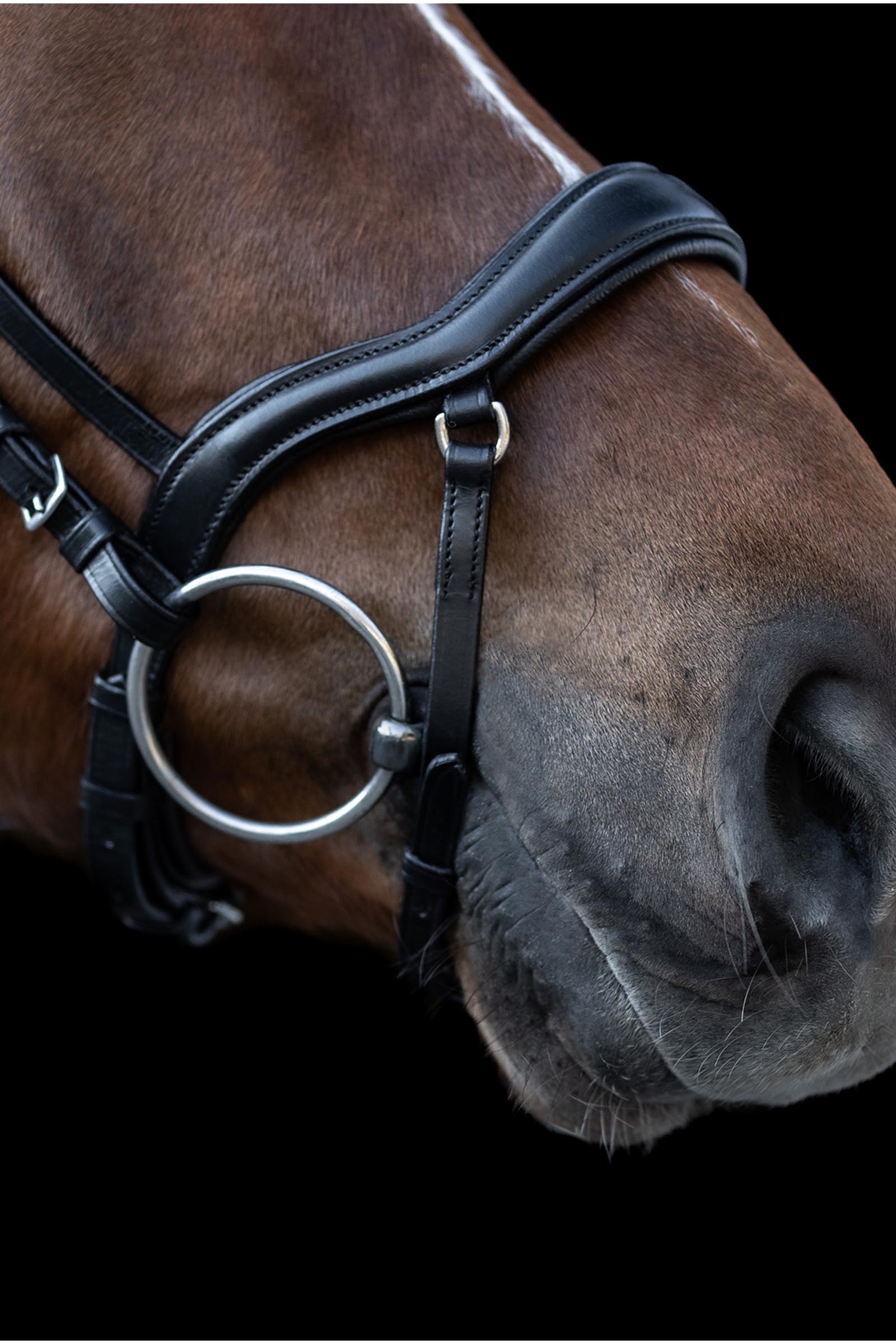 Waldhausen X-Line New Shape II Uzda