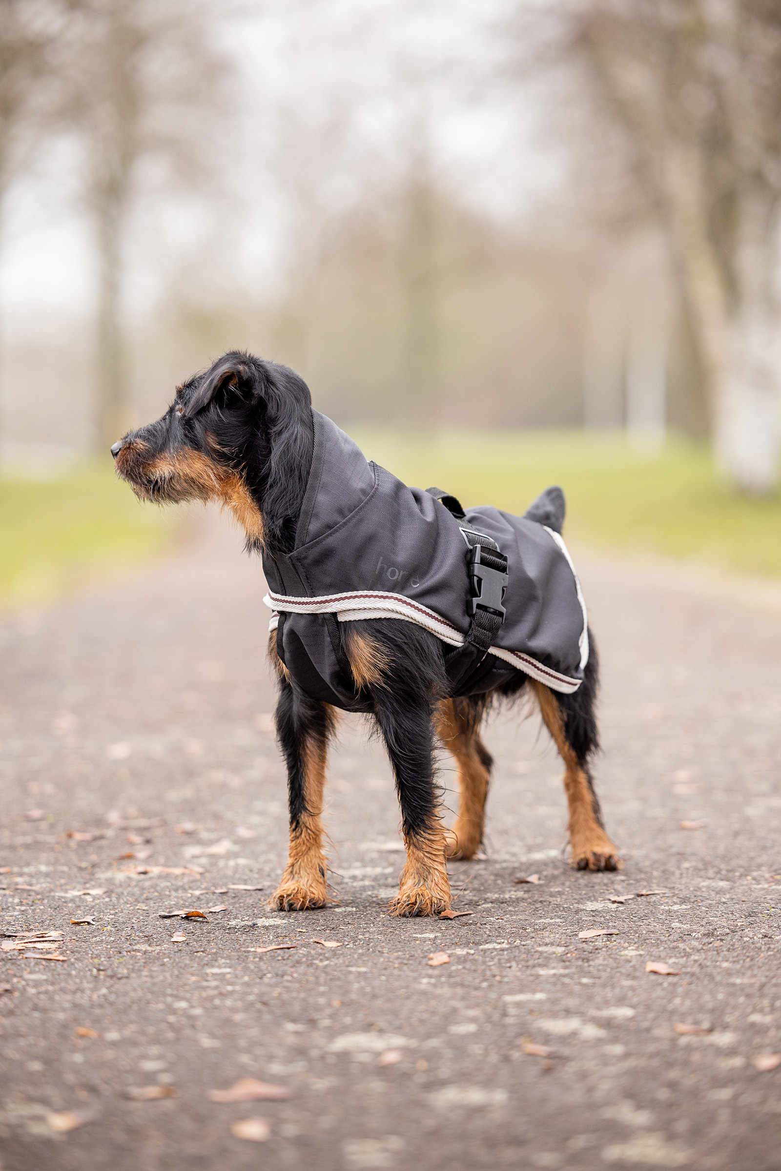 Horze Sudbury Ubranko dla psa 2-w-1, 0g, 100g