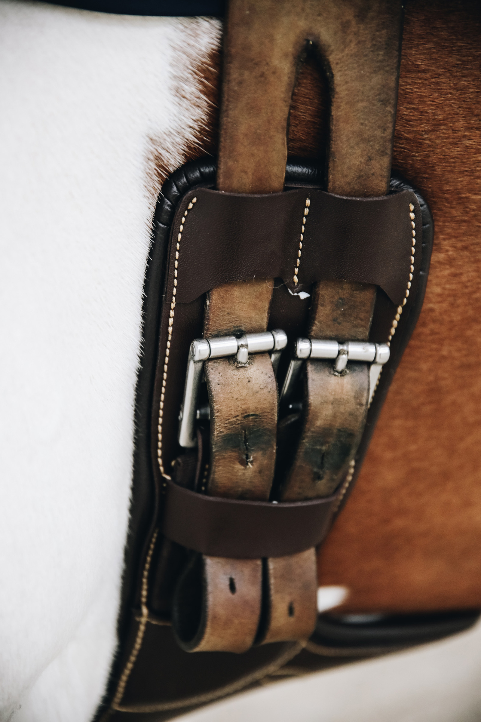 Popręg z fartuchem, kr&oacute;tki Kentucky Horsewear