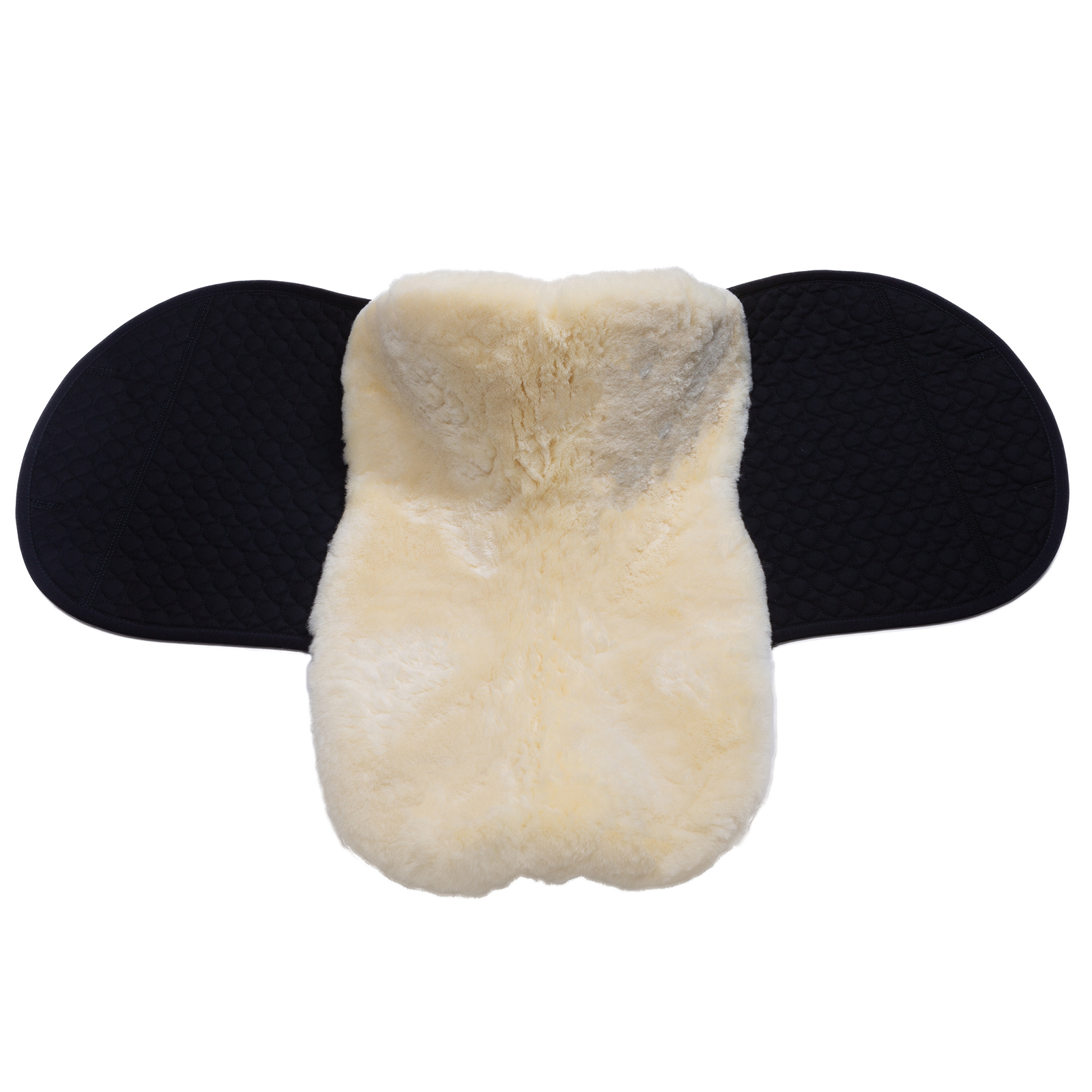 Czaprak Christ Champ 1/4 border VS