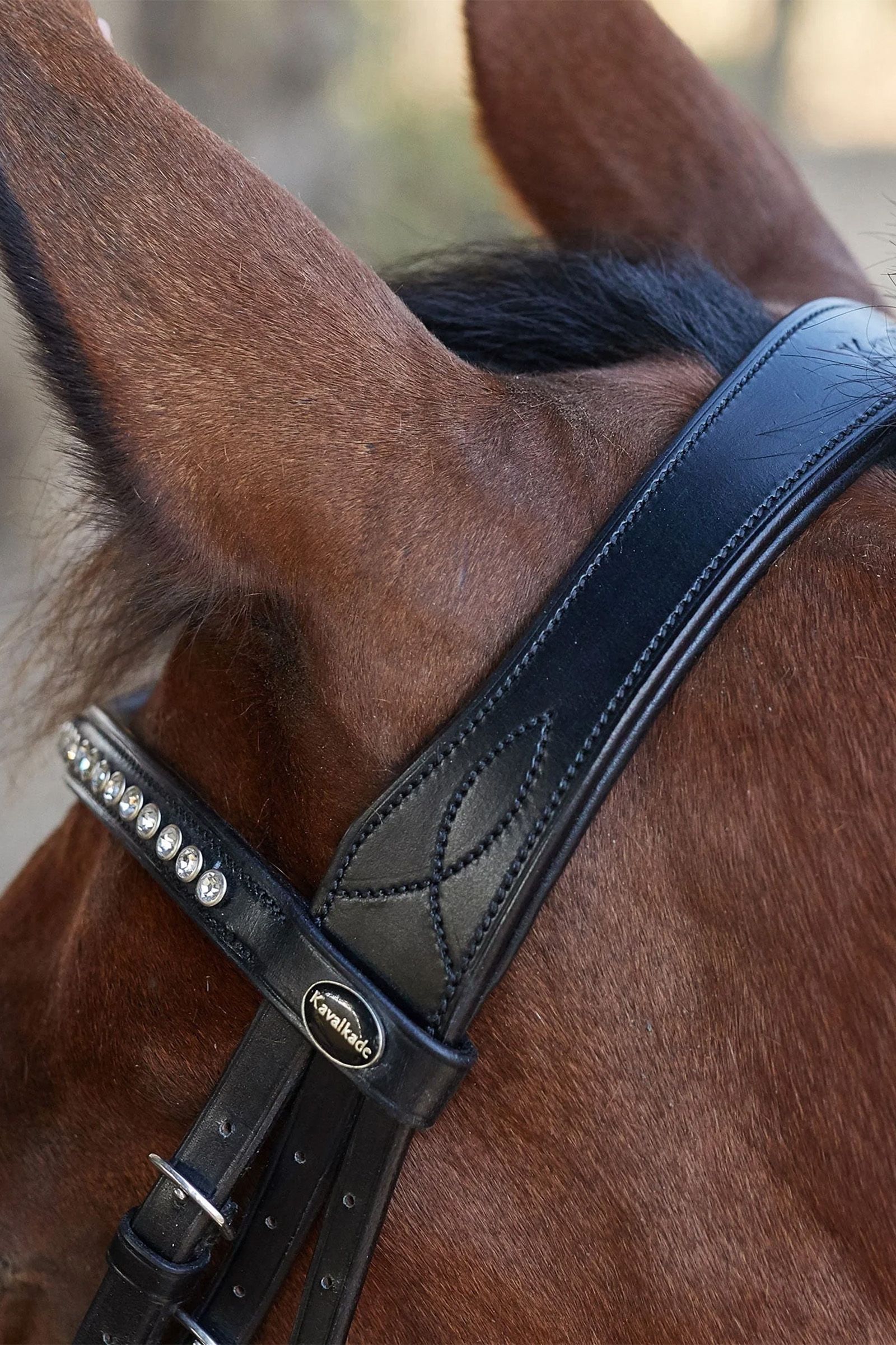 Kavalkade Charlotte Dressage Bridle Crank Noseband