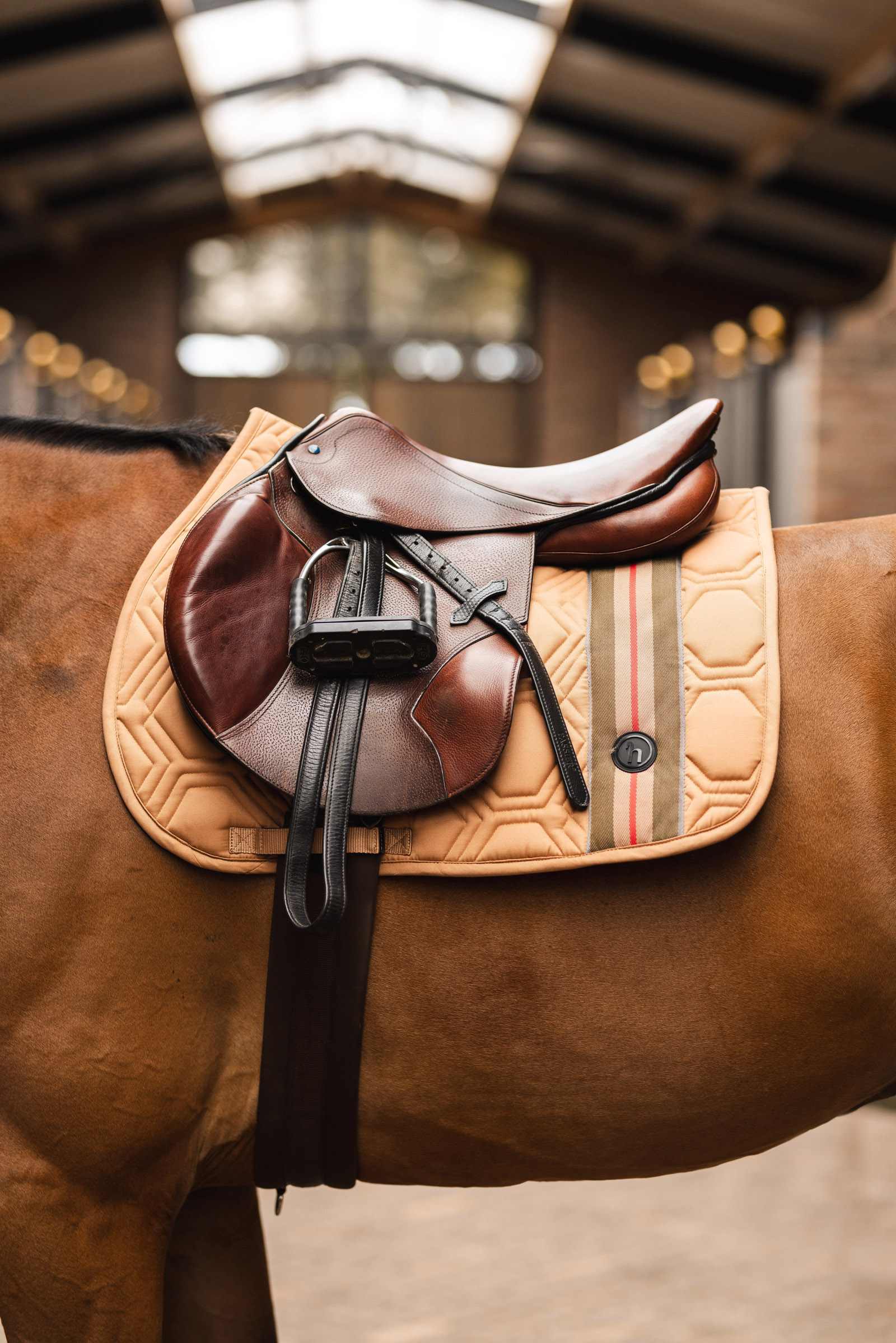 Horze High Life Czaprak skokowy