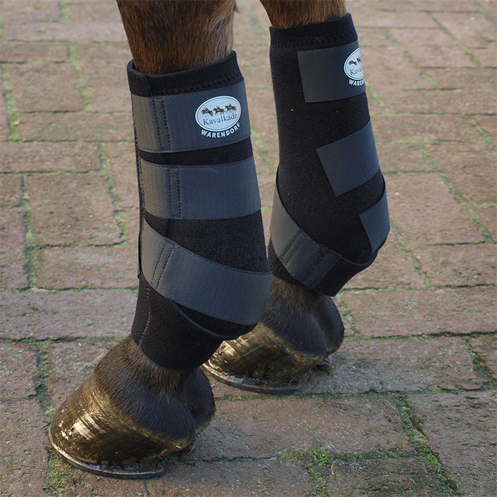 Kozaki neoprenowe Kavalkade