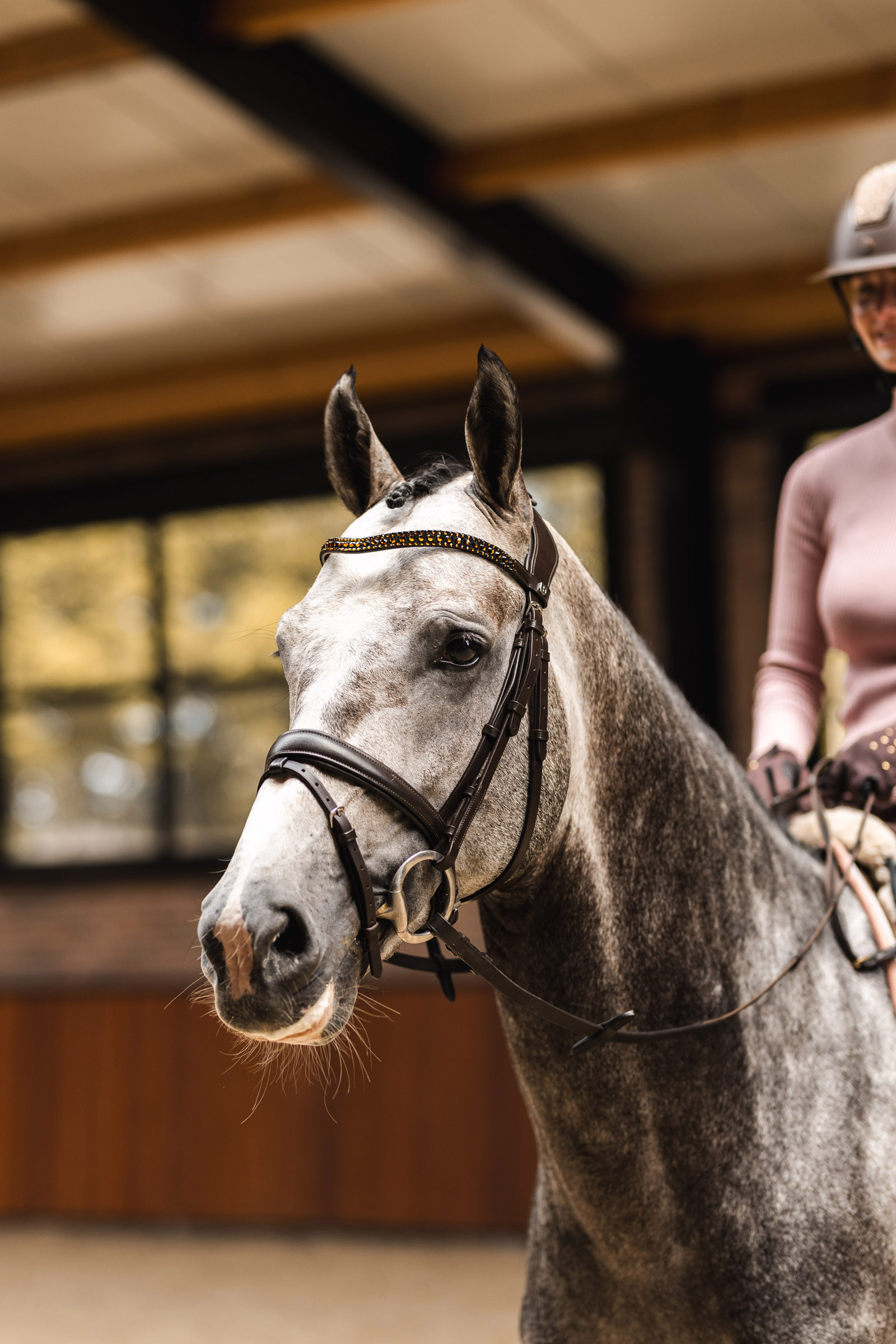 Horze St. Moritz Nacżółek