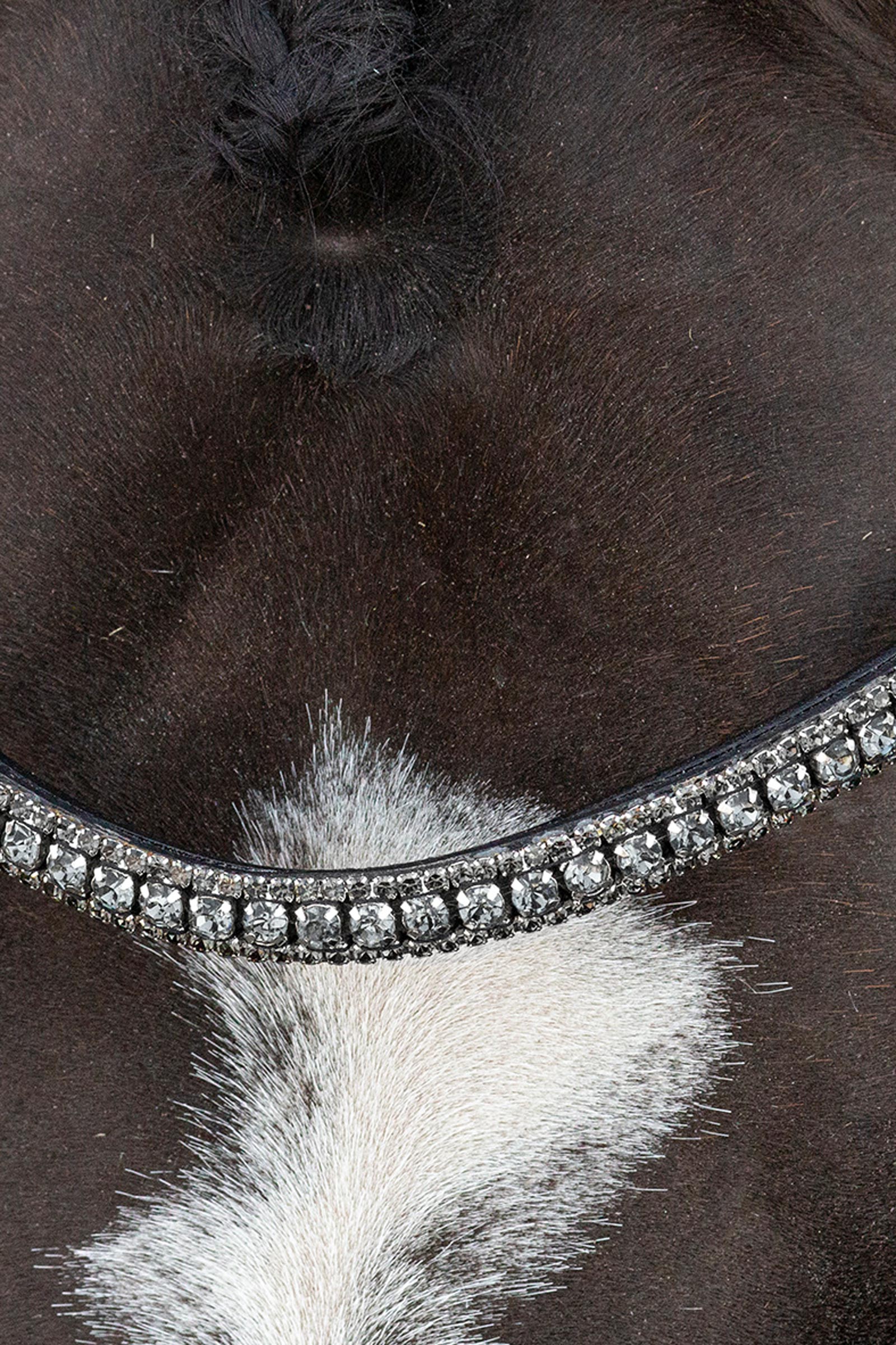 Schockem&ouml;hle Sports Brindisi Ogłowie Munsztukowe