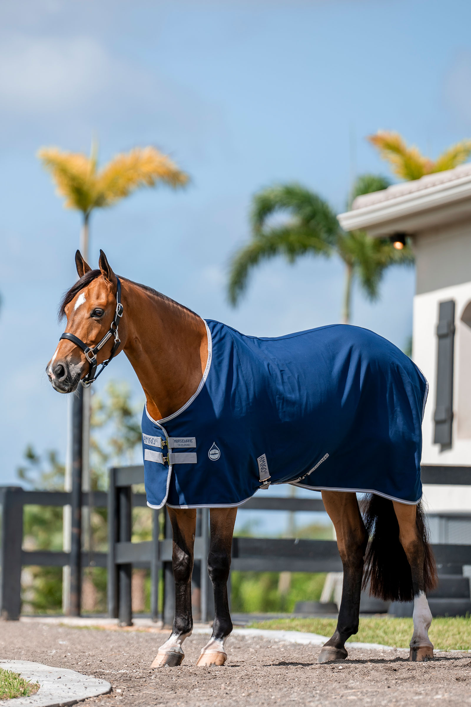 Horseware Amigo Derka stajenna, 0g